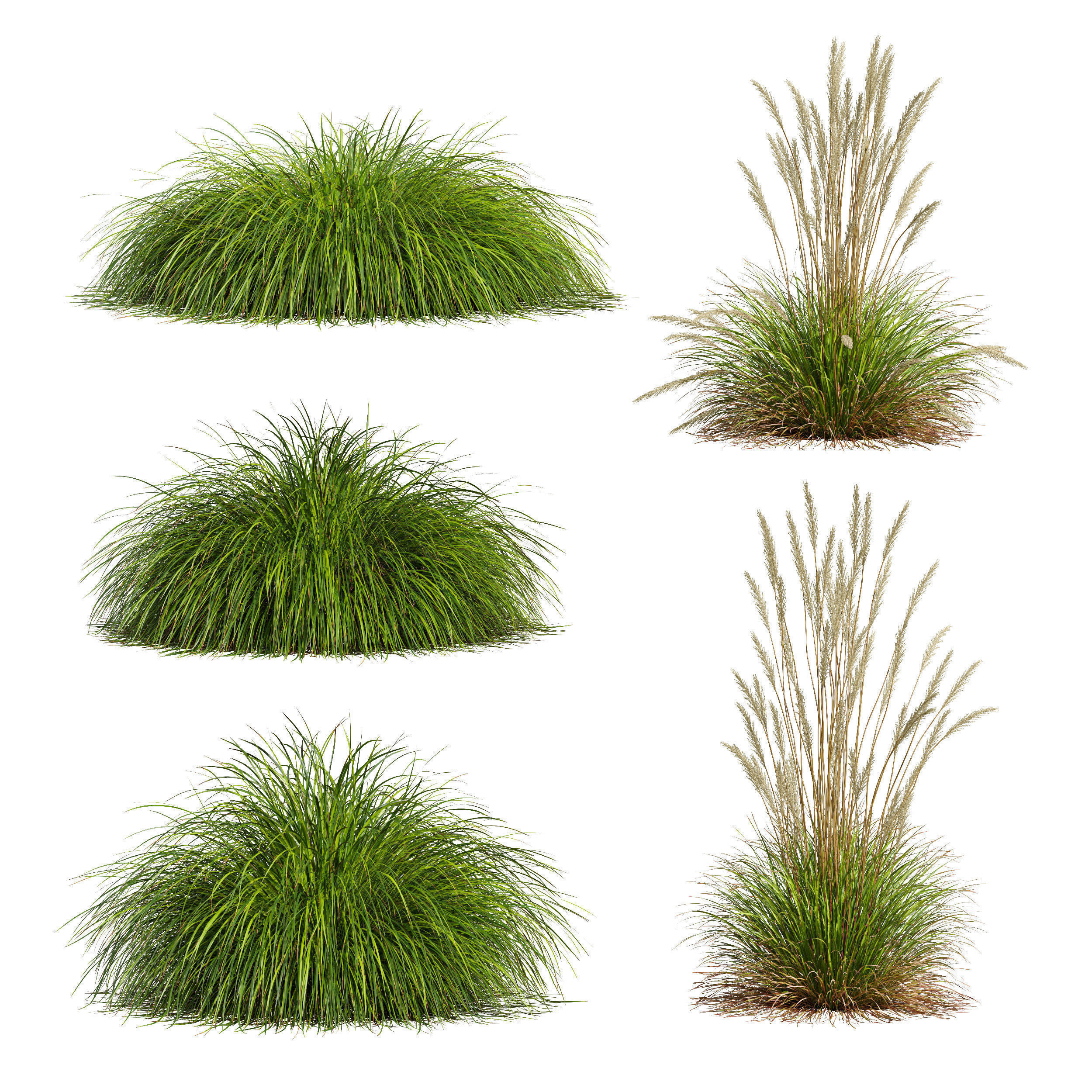 80 Different SETS Of Grass and Bush SET VOL08 3D Model Collection_139