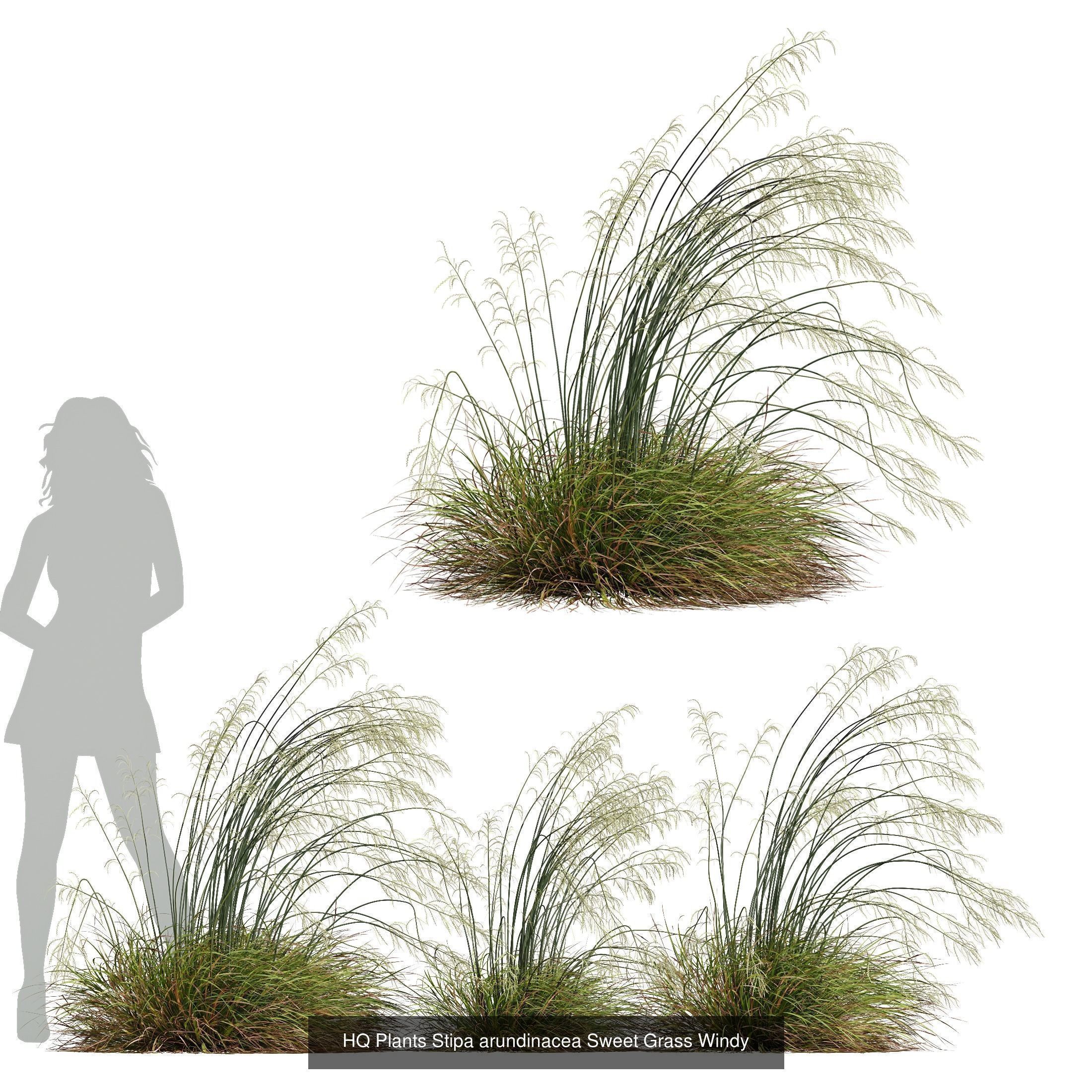 80 Different SETS Of Grass and Bush SET VOL08 3D Model Collection_28