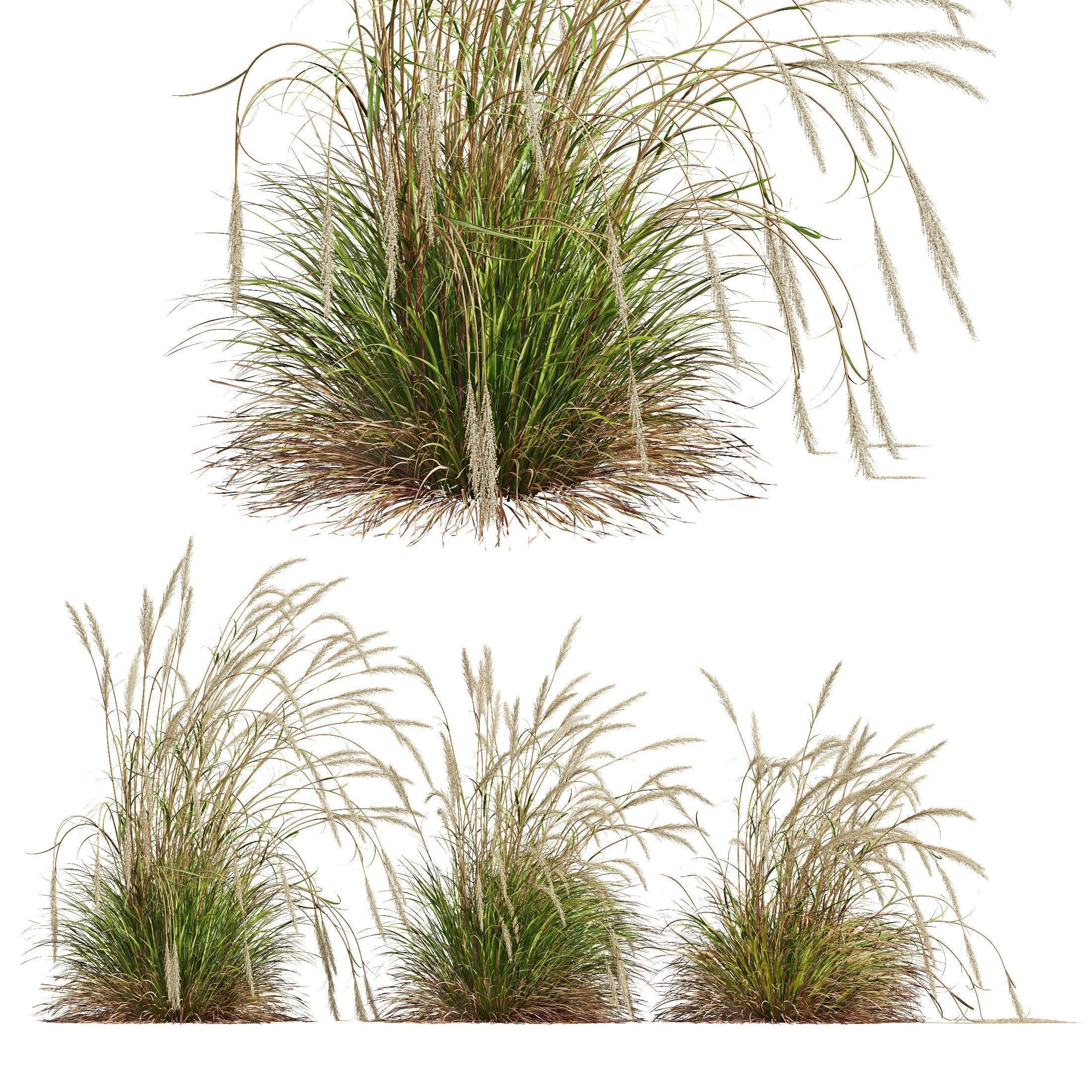 80 Different SETS Of Grass and Bush SET VOL08 3D Model Collection_69