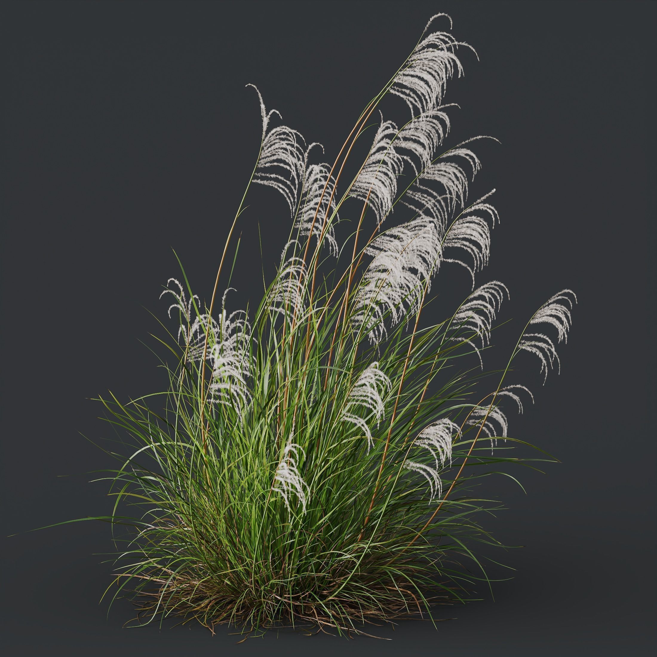 80 Different SETS Of Grass and Bush SET VOL08 3D Model Collection_170