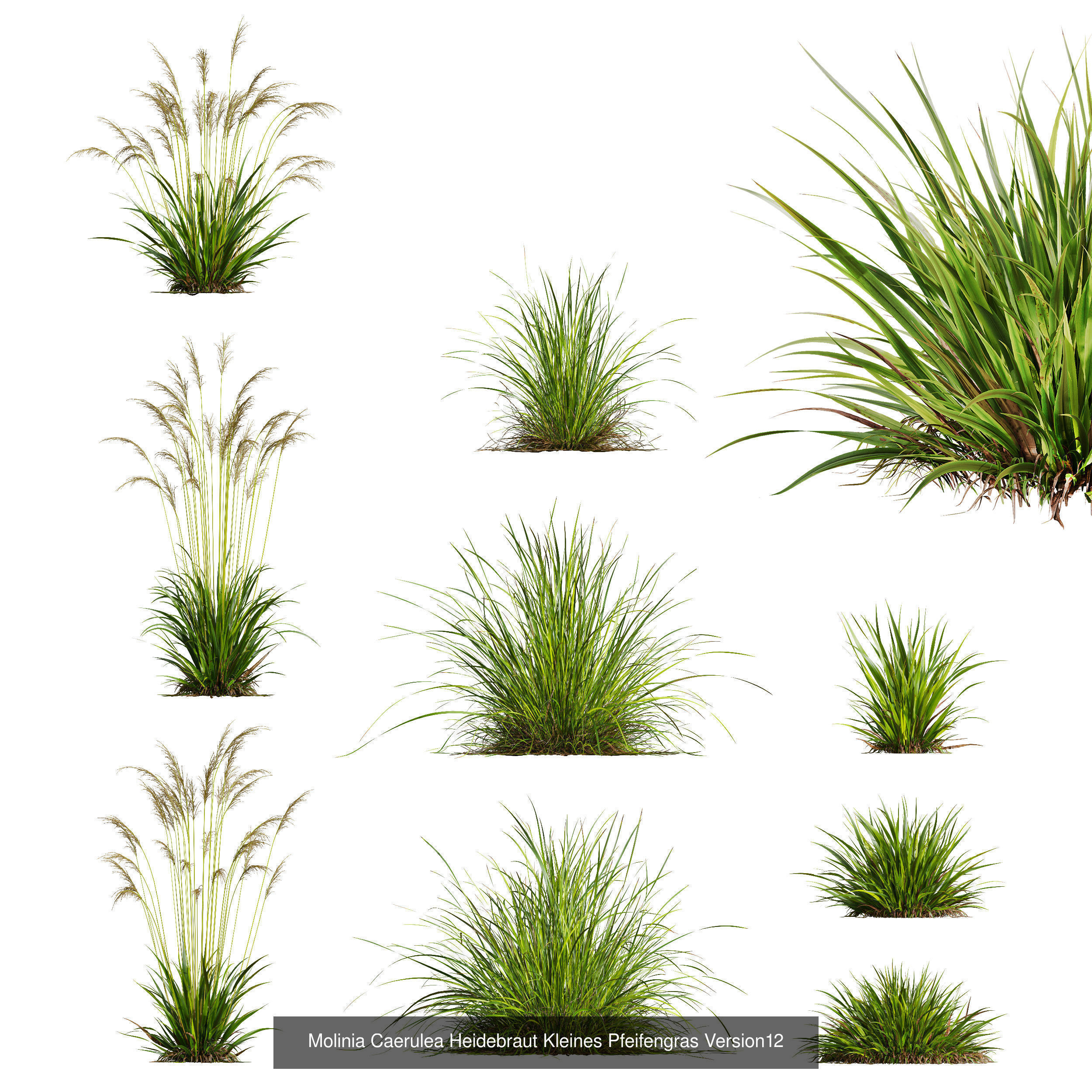 80 Different SETS Of Grass and Bush SET VOL08 3D Model Collection_164