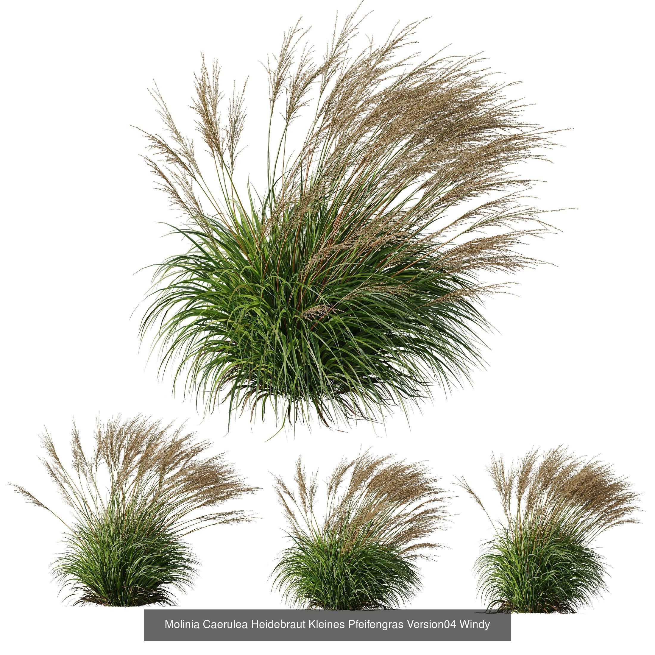 80 Different SETS Of Grass and Bush SET VOL08 3D Model Collection_122