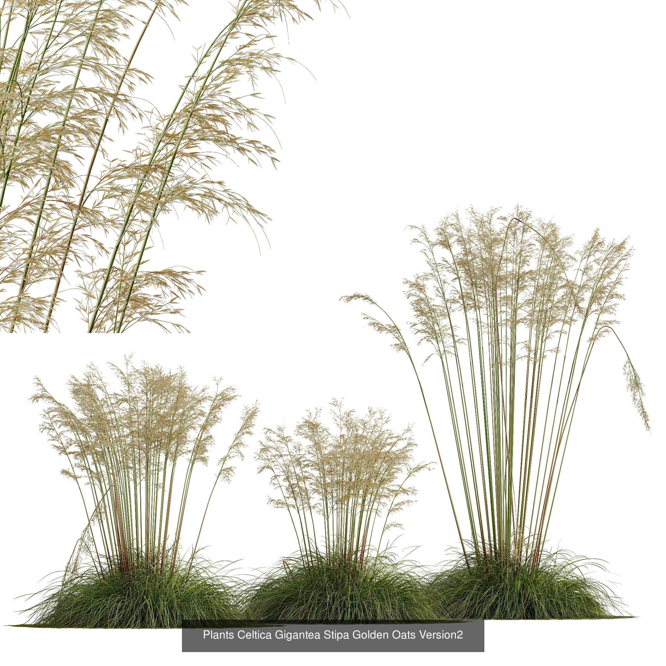 80 Different SETS Of Grass and Bush SET VOL08 3D Model Collection_68