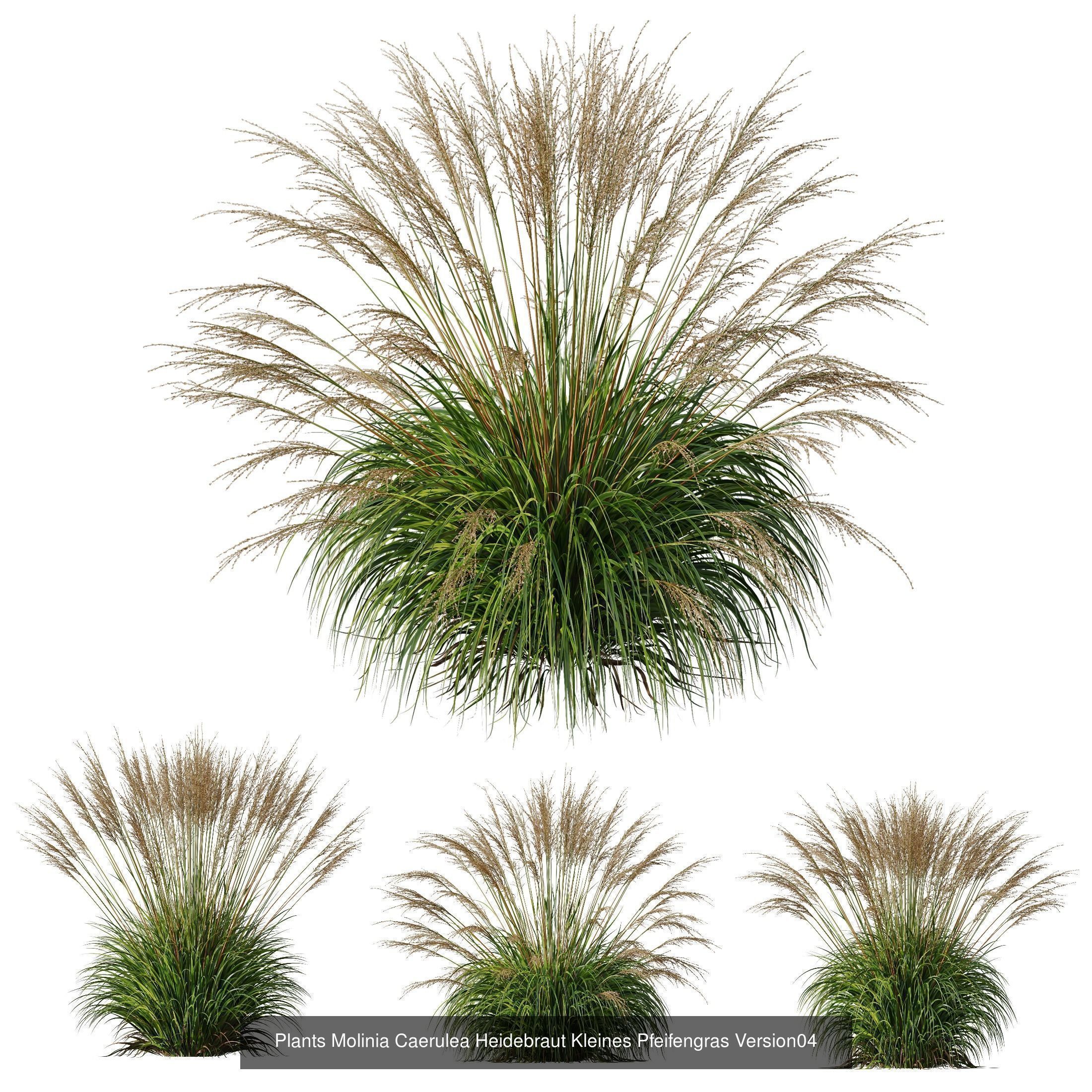 80 Different SETS Of Grass and Bush SET VOL08 3D Model Collection_120