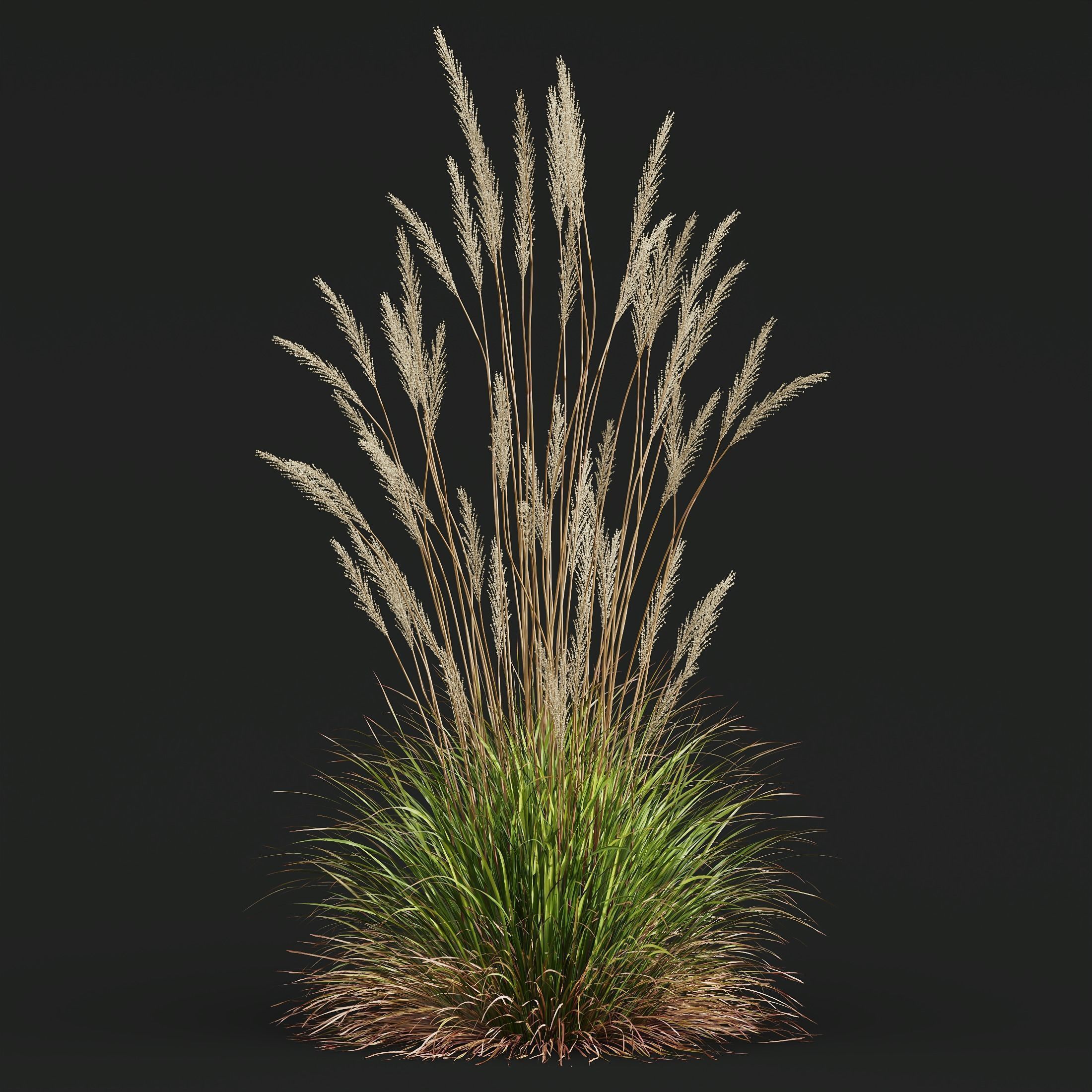 80 Different SETS Of Grass and Bush SET VOL08 3D Model Collection_172