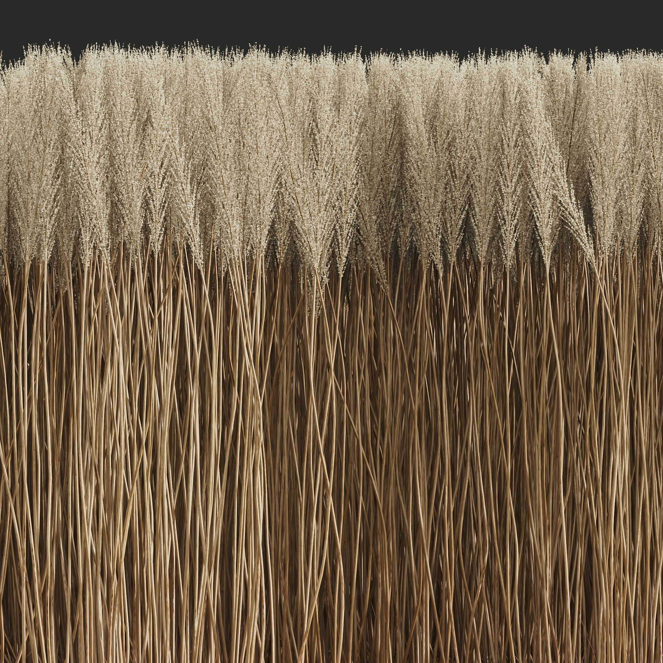 80 Different SETS Of Grass and Bush SET VOL08 3D Model Collection_191