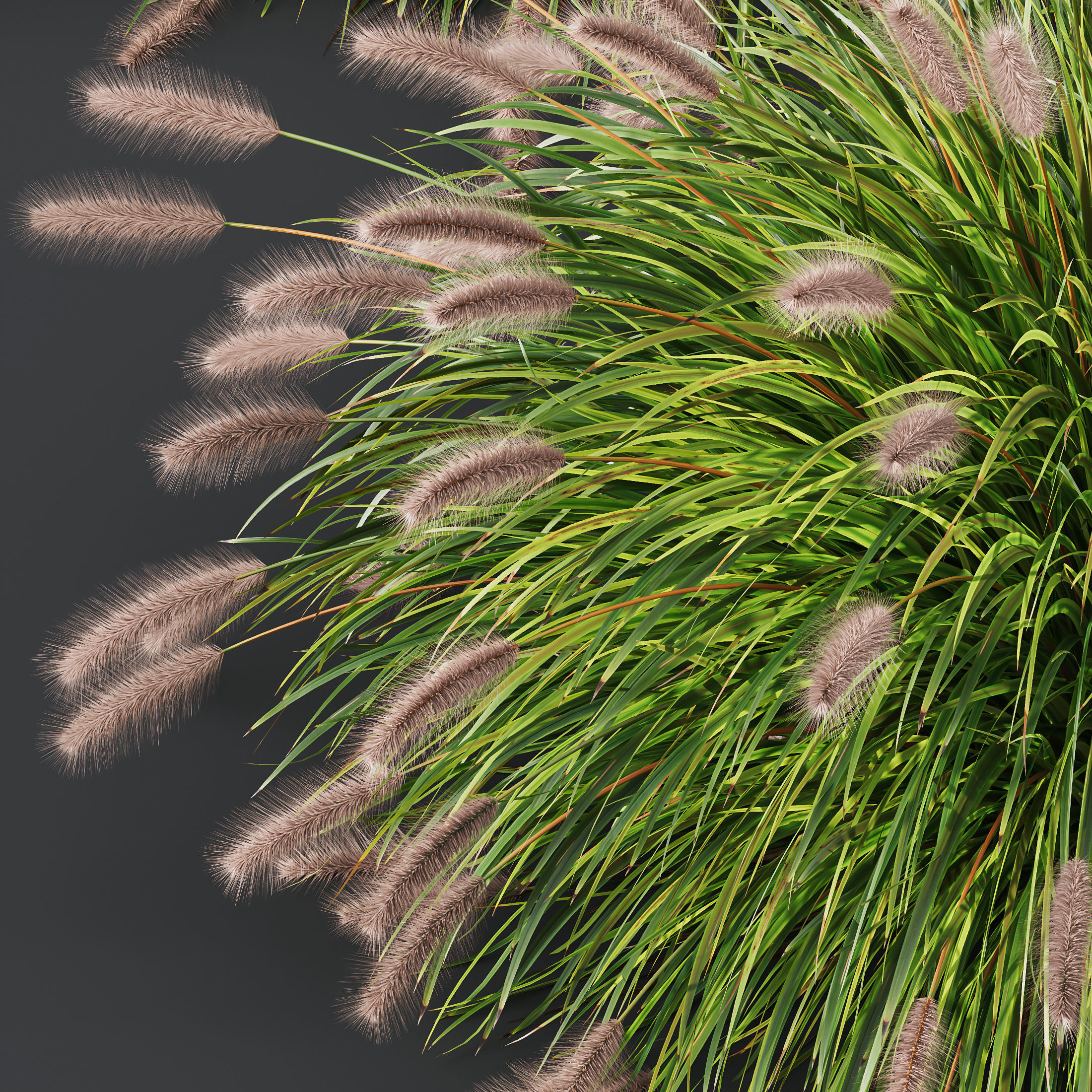 80 Different SETS Of Grass and Bush SET VOL08 3D Model Collection_206