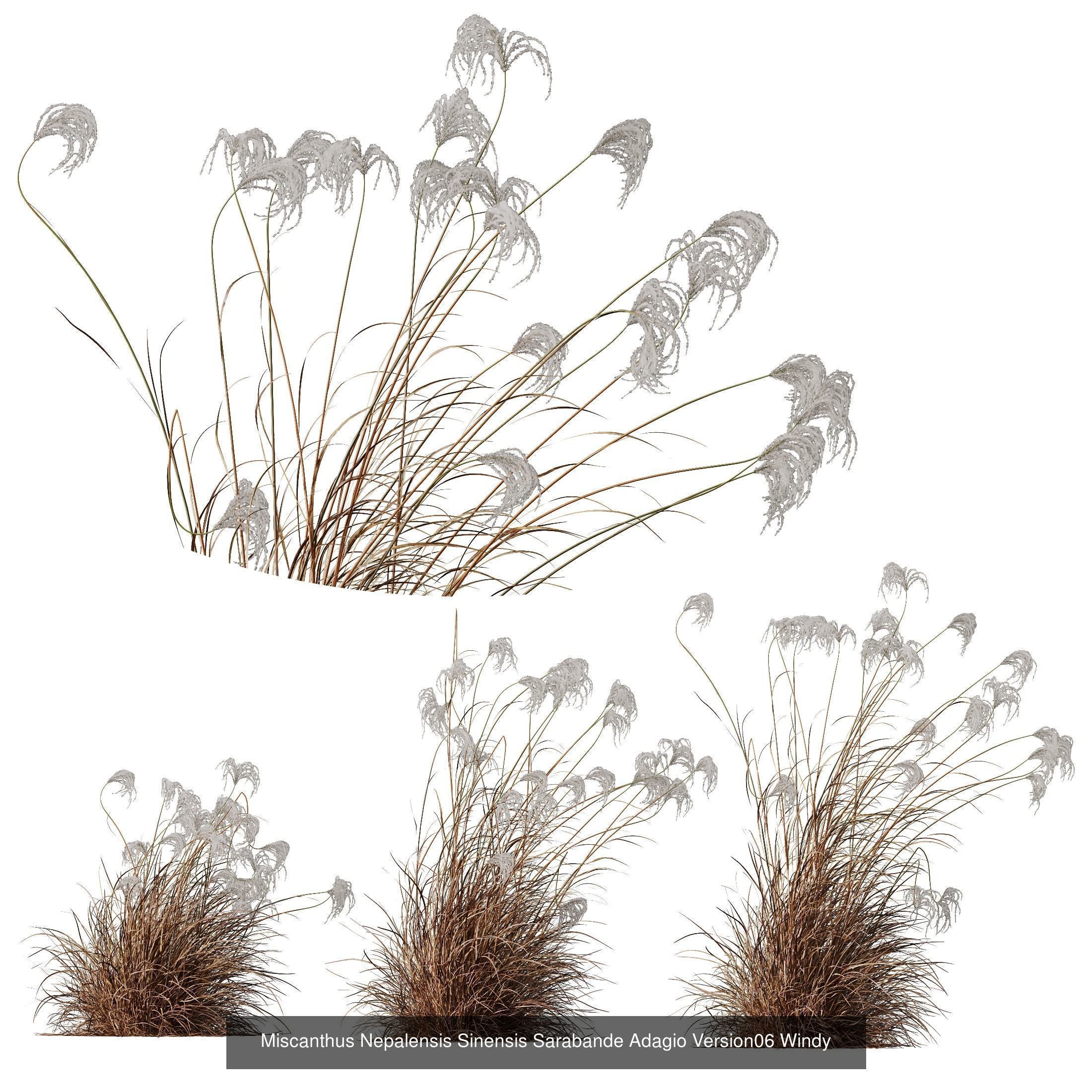 80 Different SETS Of Grass and Bush SET VOL08 3D Model Collection_104