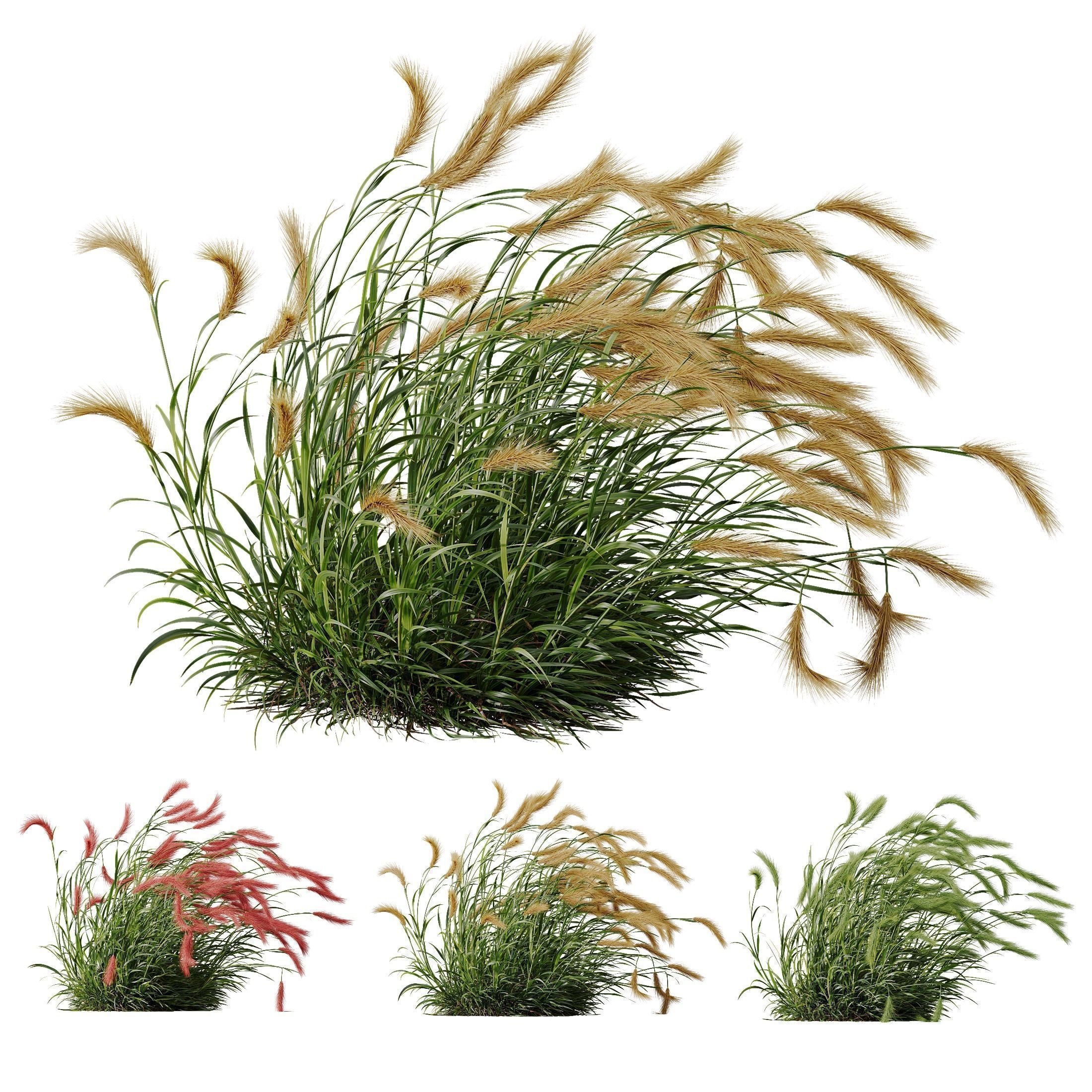 80 Different SETS Of Grass and Bush SET VOL08 3D Model Collection_147