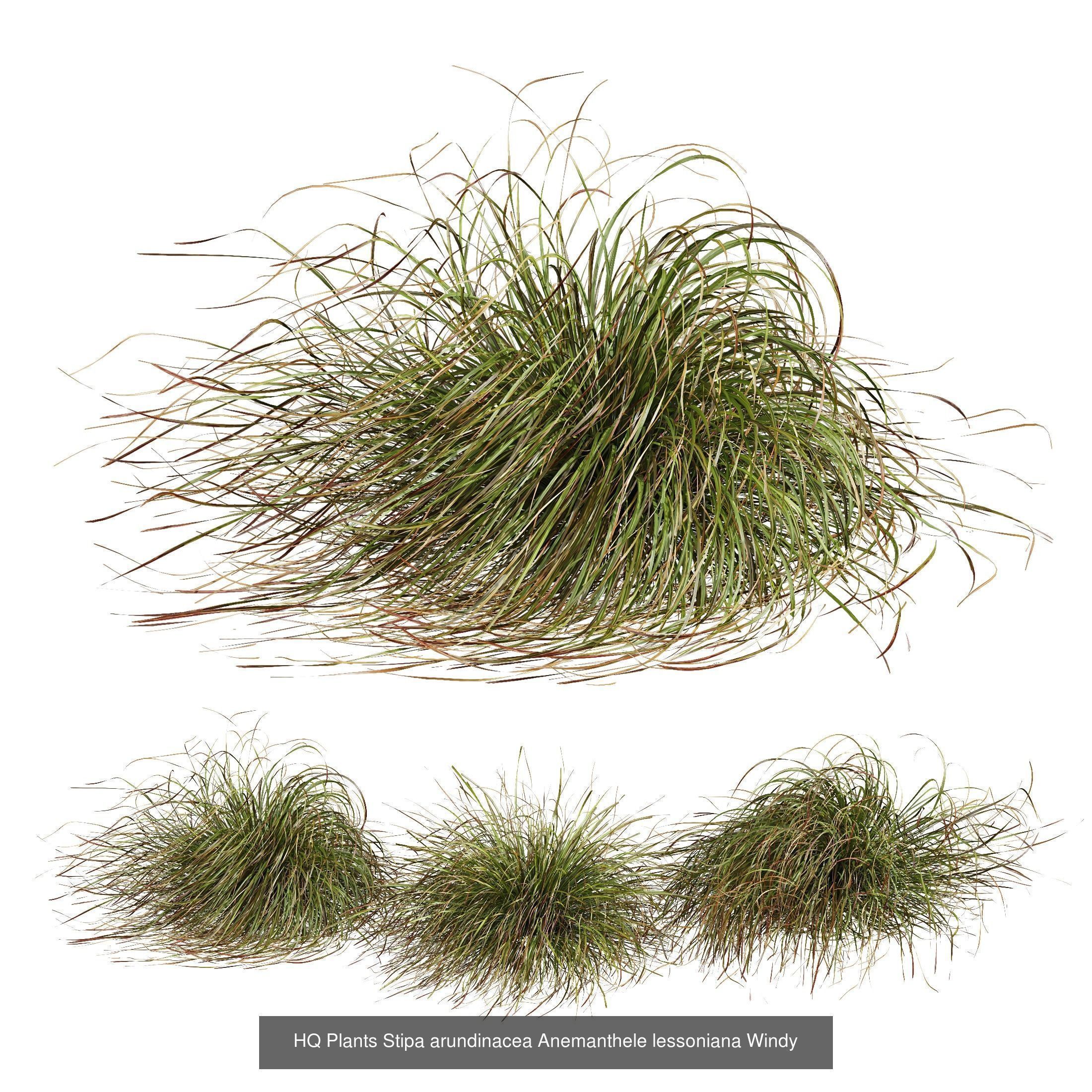 80 Different SETS Of Grass and Bush SET VOL08 3D Model Collection_26