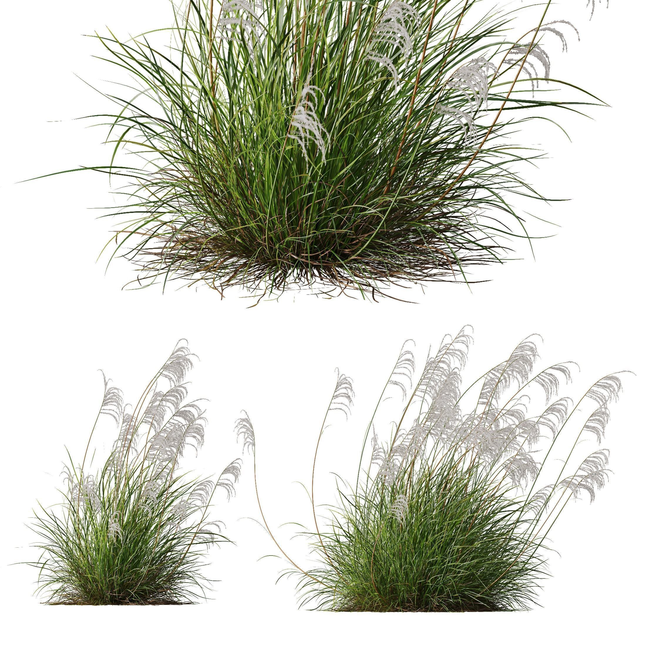 80 Different SETS Of Grass and Bush SET VOL08 3D Model Collection_47