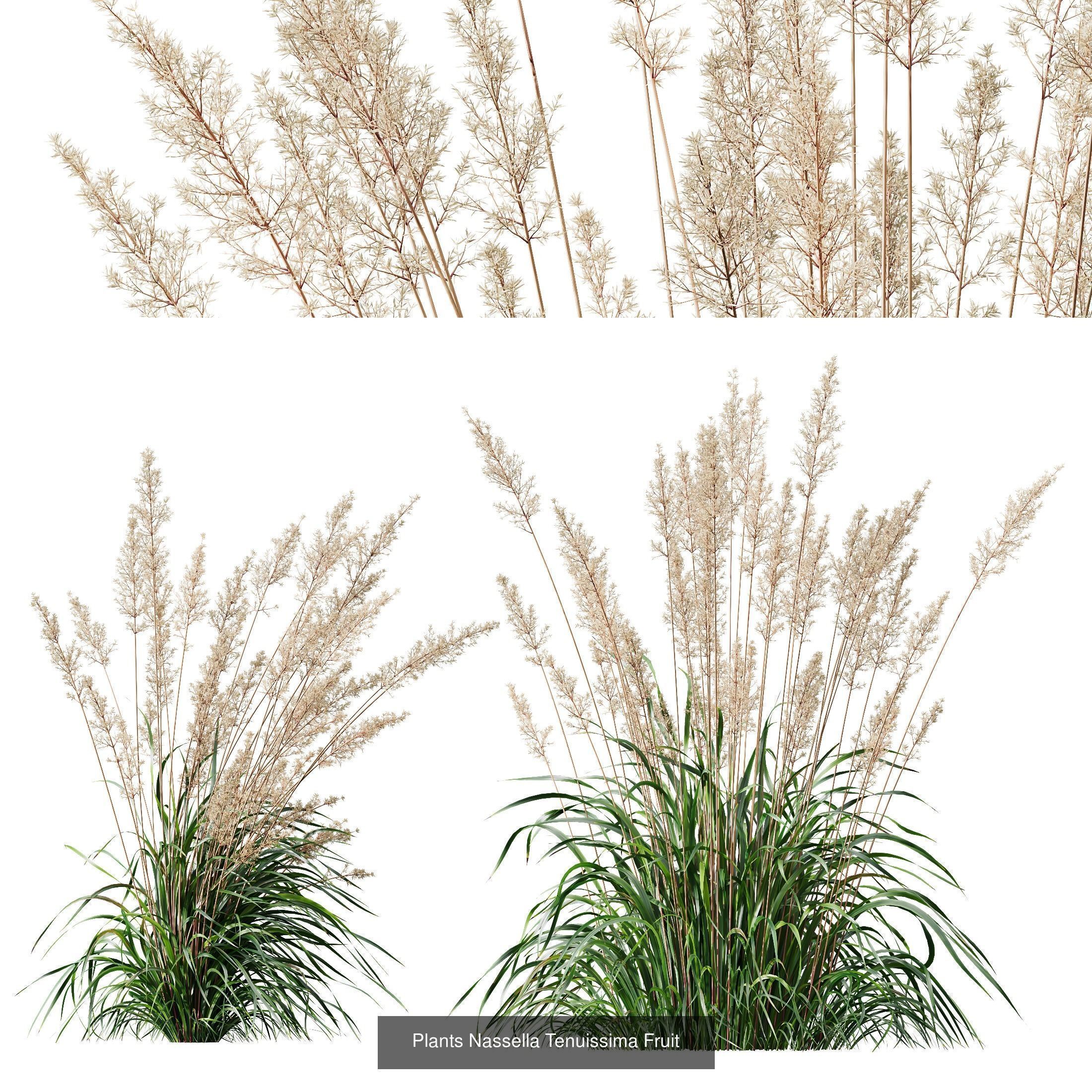 80 Different SETS Of Grass and Bush SET VOL08 3D Model Collection_156