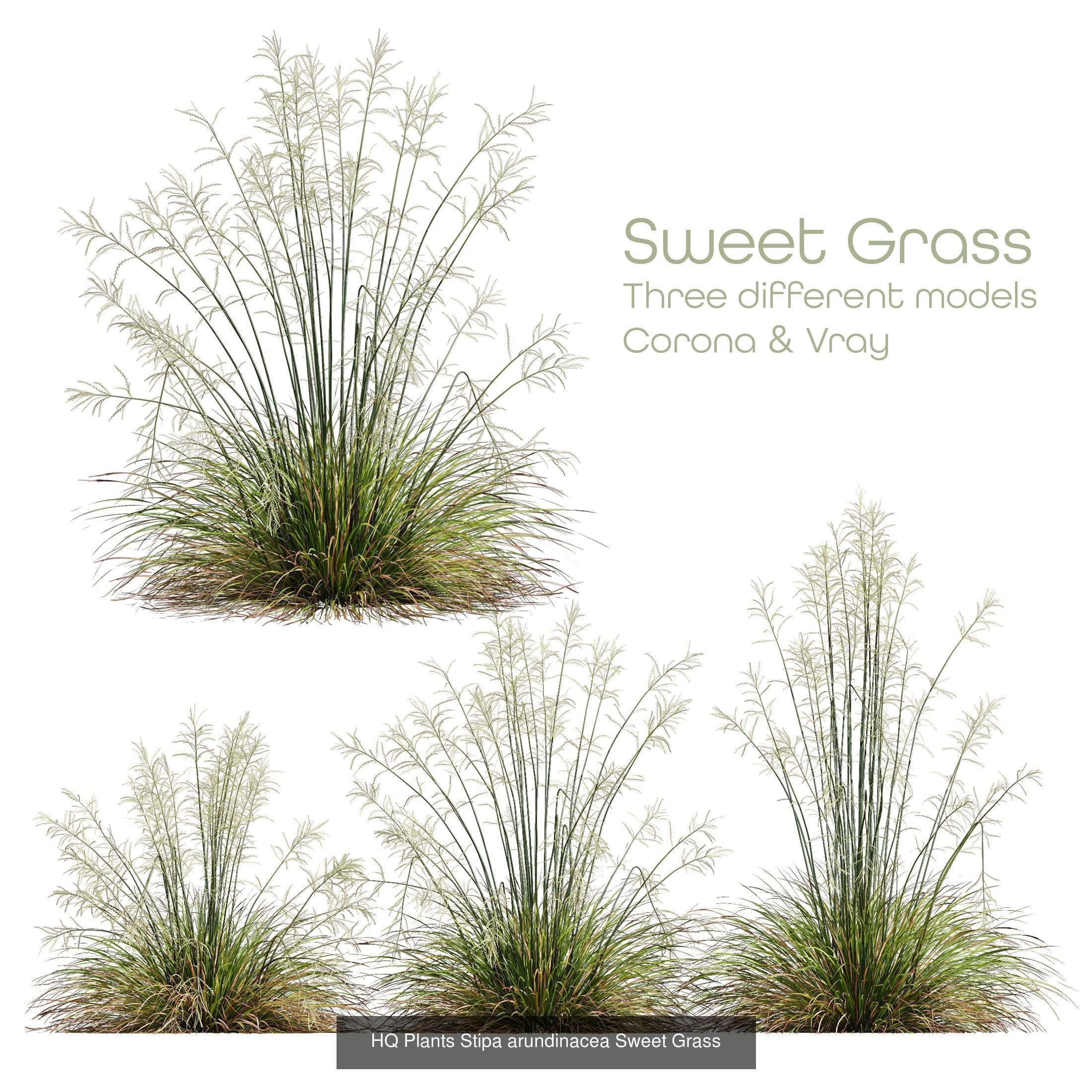 80 Different SETS Of Grass and Bush SET VOL08 3D Model Collection_32