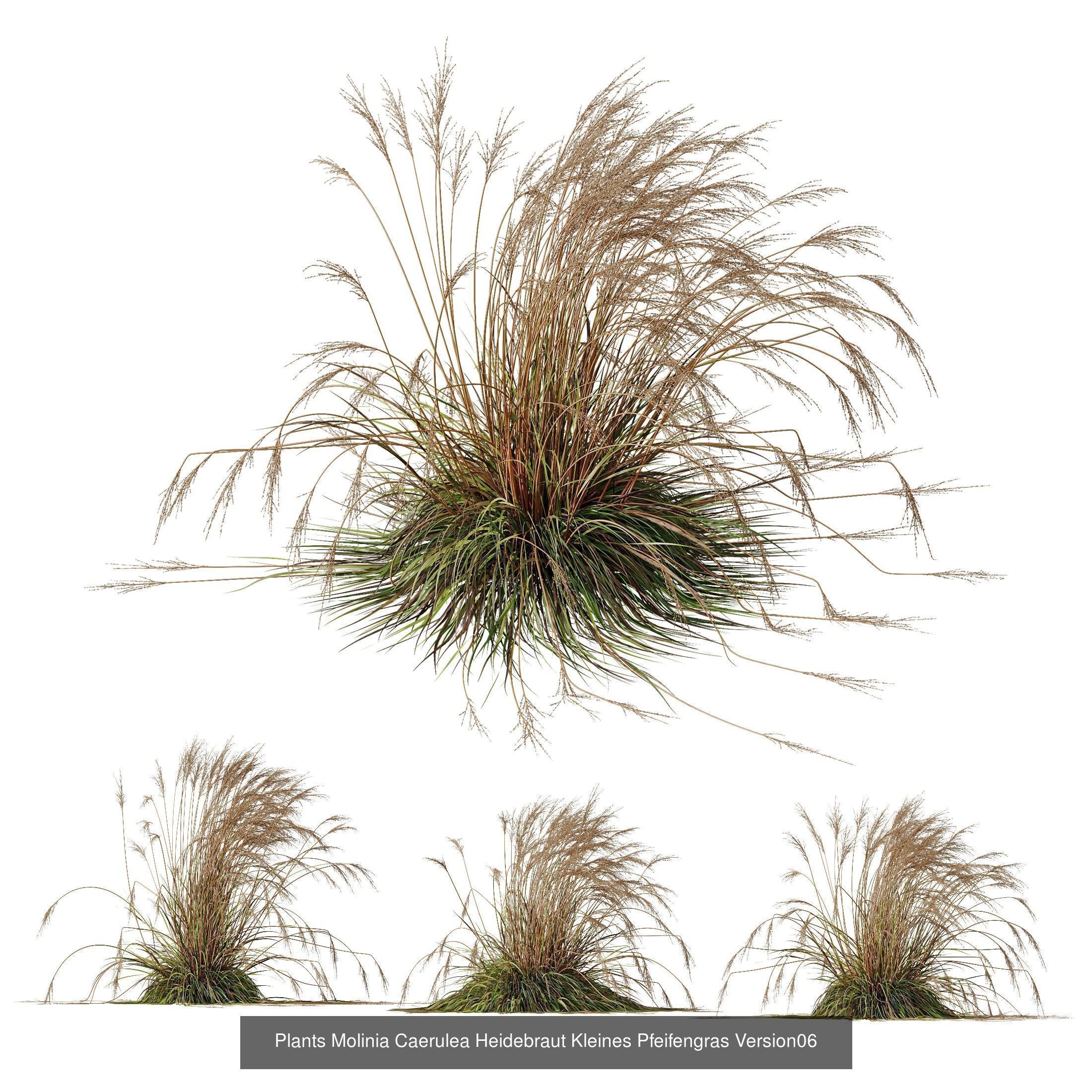 80 Different SETS Of Grass and Bush SET VOL08 3D Model Collection_132