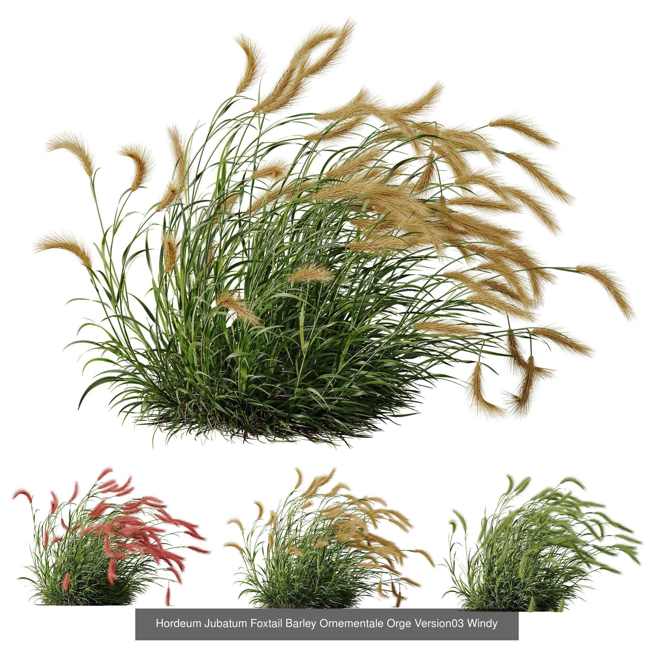 80 Different SETS Of Grass and Bush SET VOL08 3D Model Collection_88