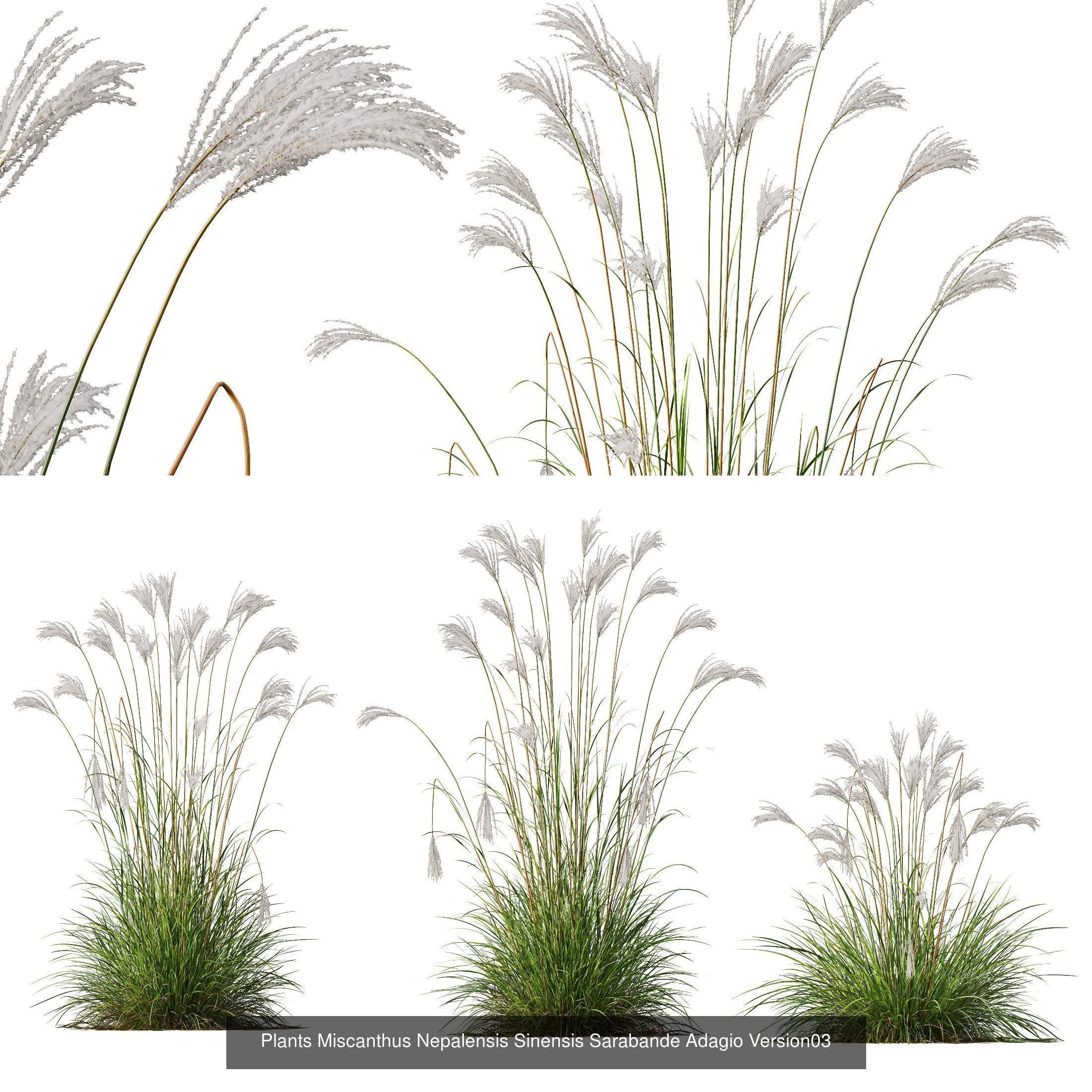 80 Different SETS Of Grass and Bush SET VOL08 3D Model Collection_128