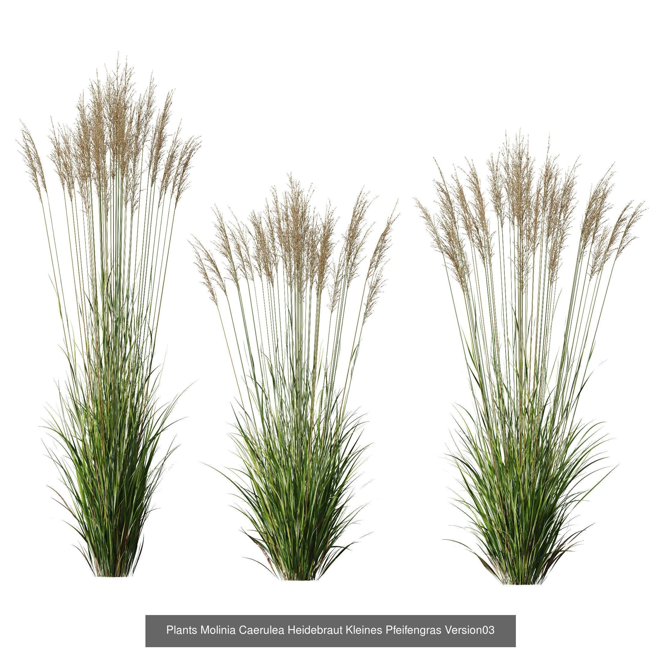 80 Different SETS Of Grass and Bush SET VOL08 3D Model Collection_112