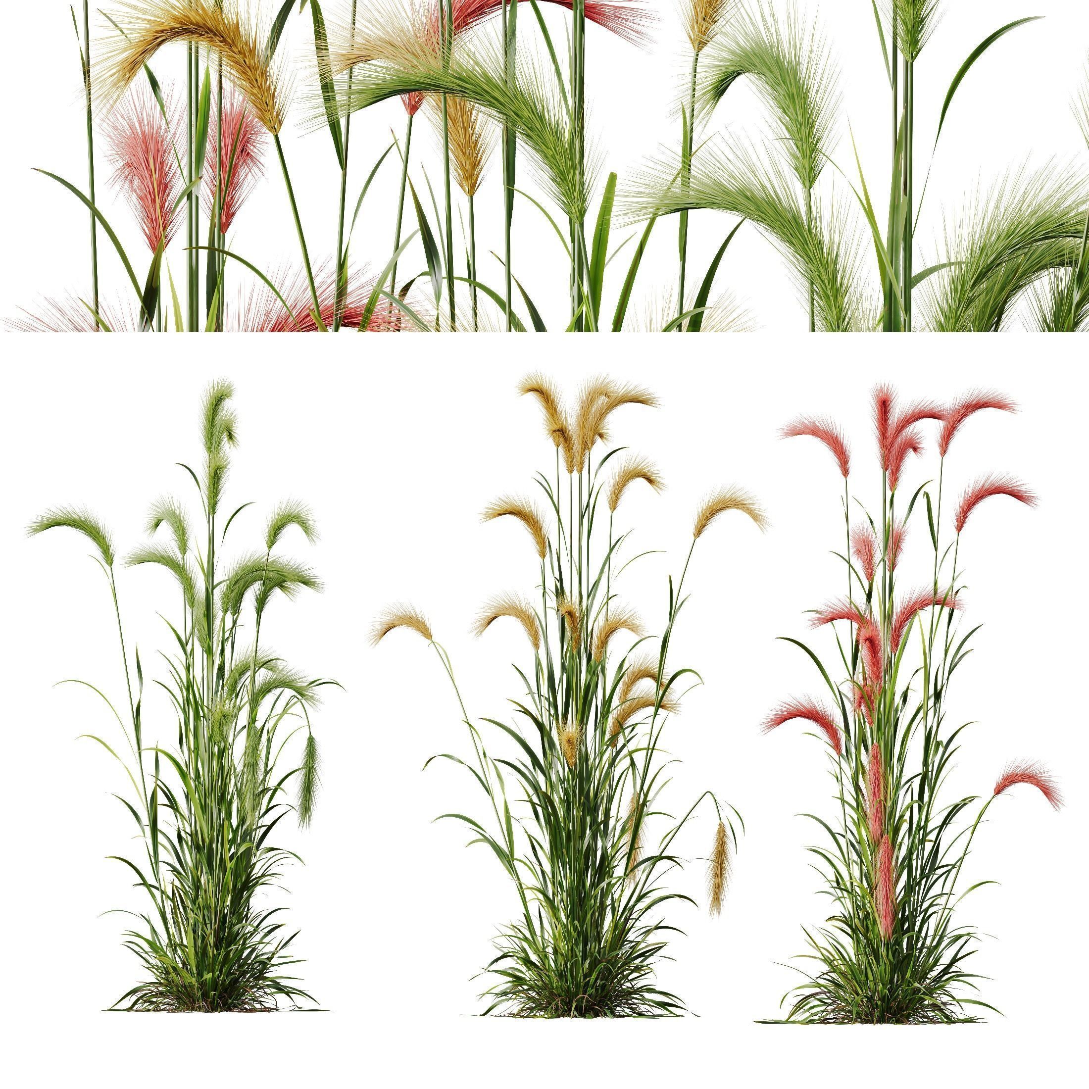 80 Different SETS Of Grass and Bush SET VOL08 3D Model Collection_109