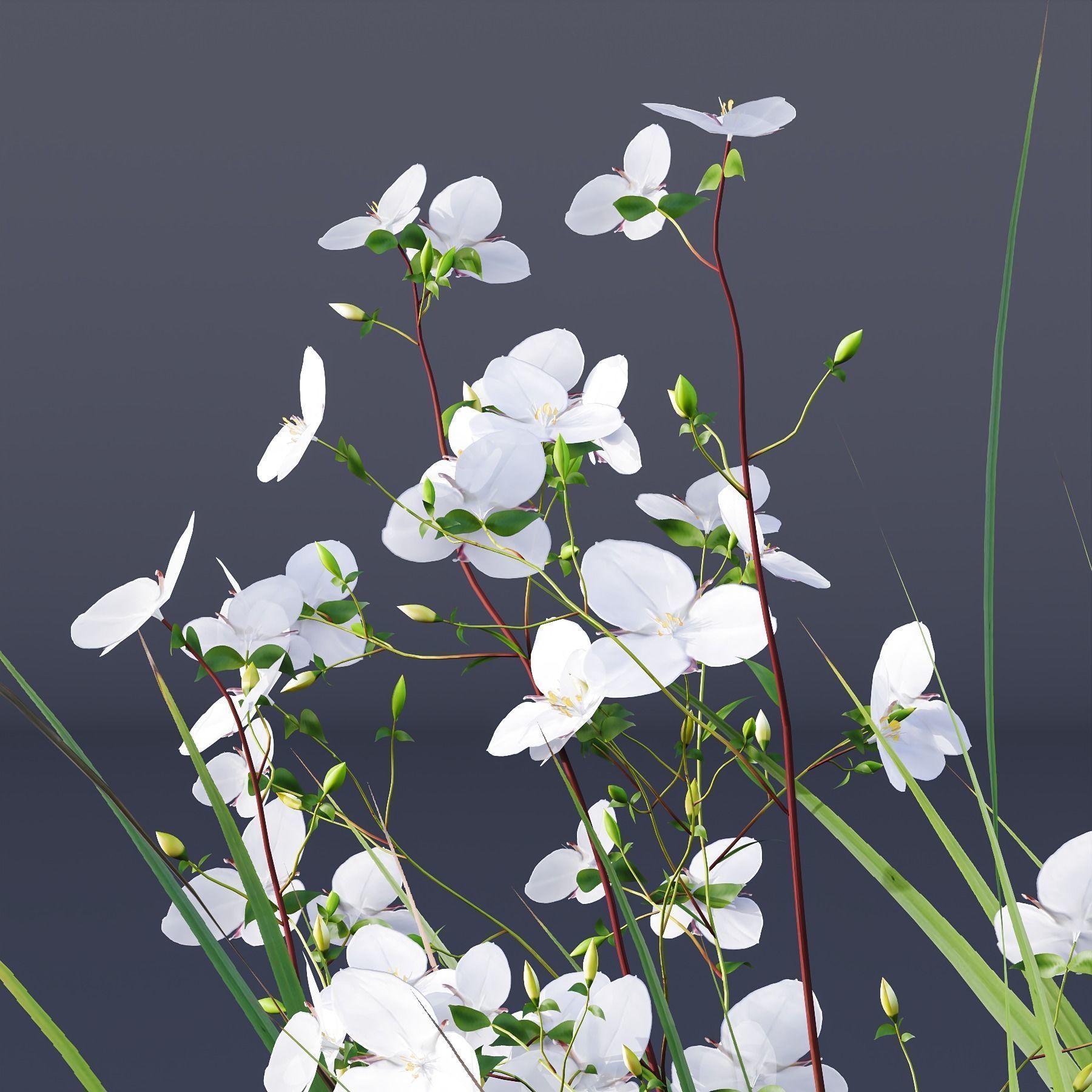 80 Different SETS Of Grass and Bush SET VOL08 3D Model Collection_171