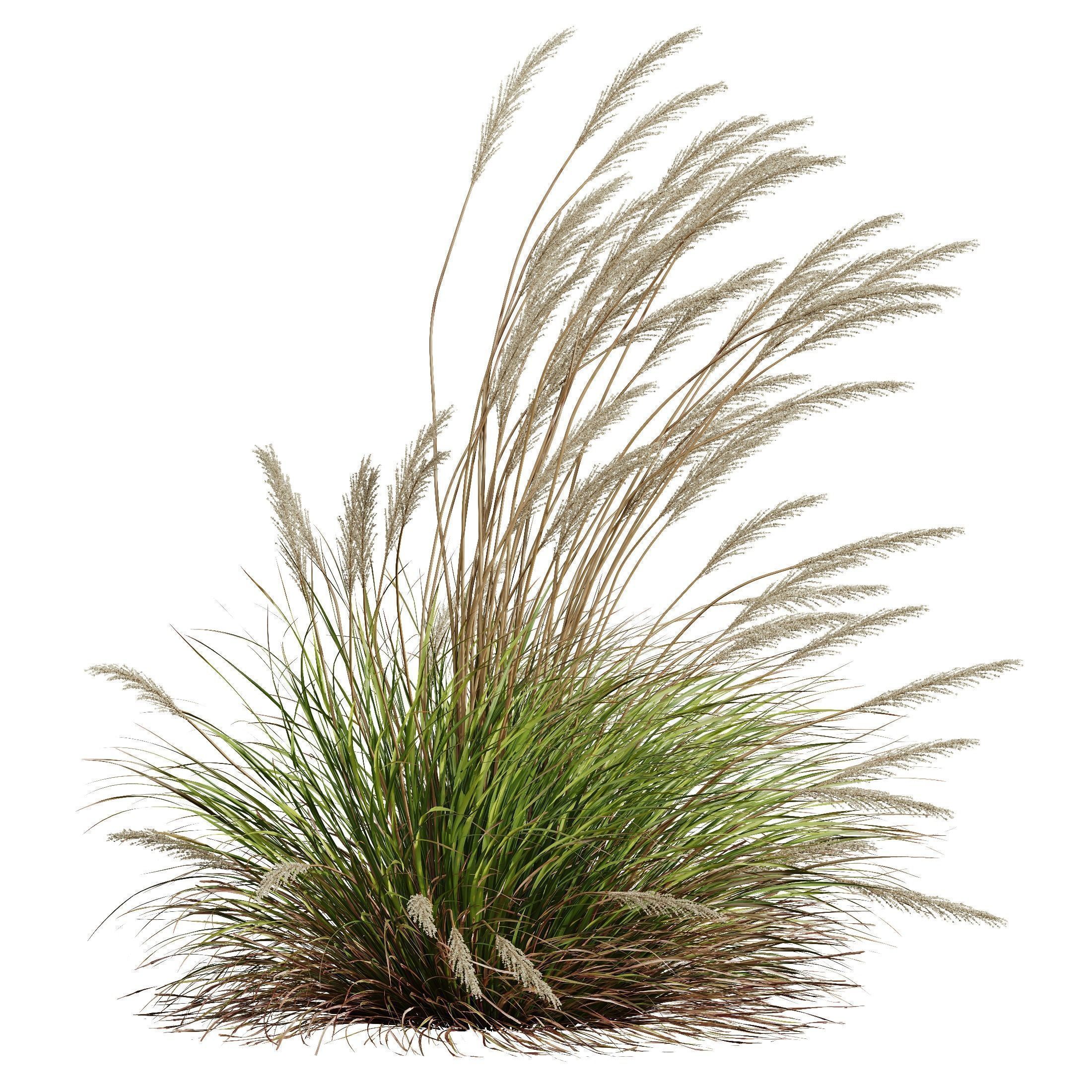 80 Different SETS Of Grass and Bush SET VOL08 3D Model Collection_185
