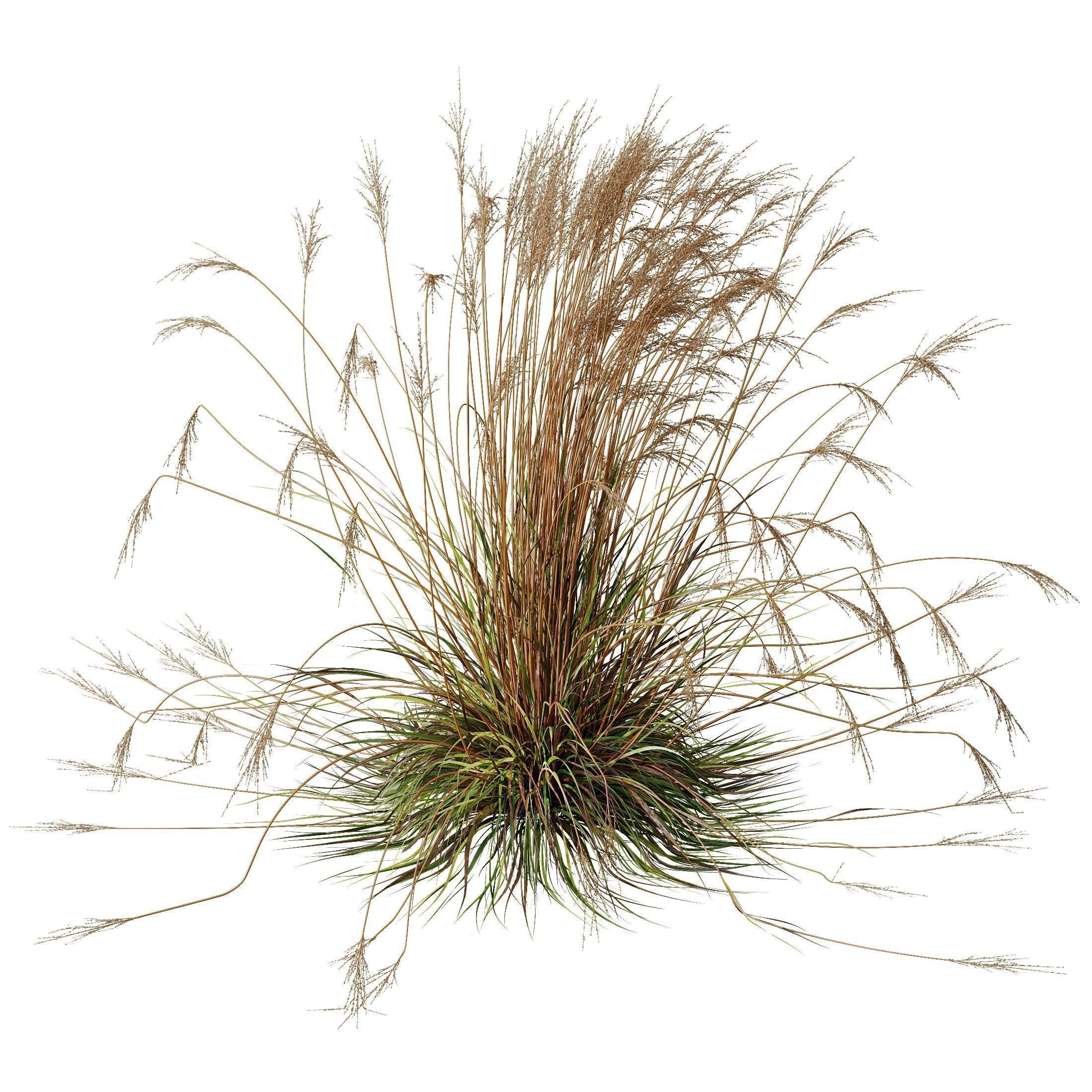 80 Different SETS Of Grass and Bush SET VOL08 3D Model Collection_237