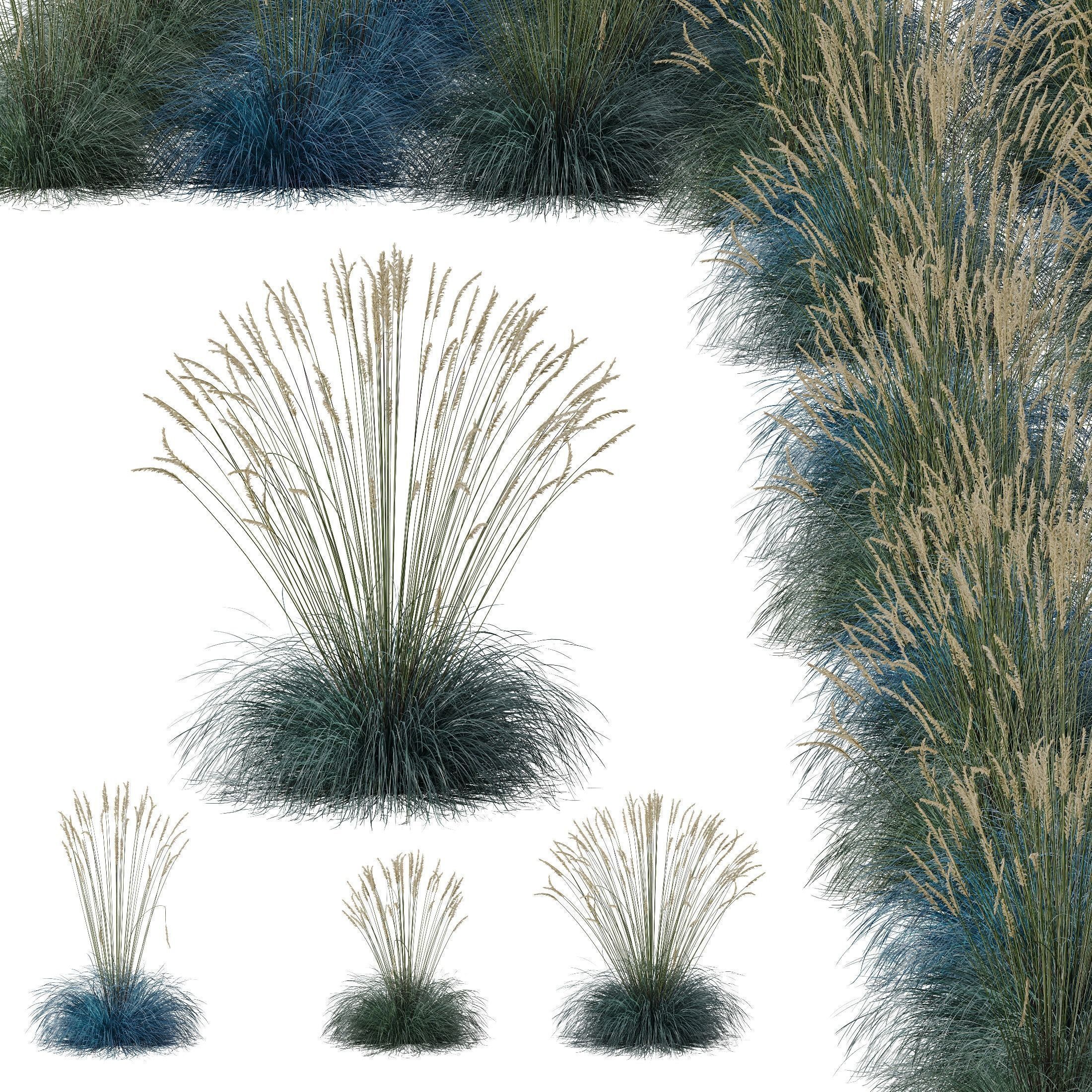 80 Different SETS Of Grass and Bush SET VOL08 3D Model Collection_113