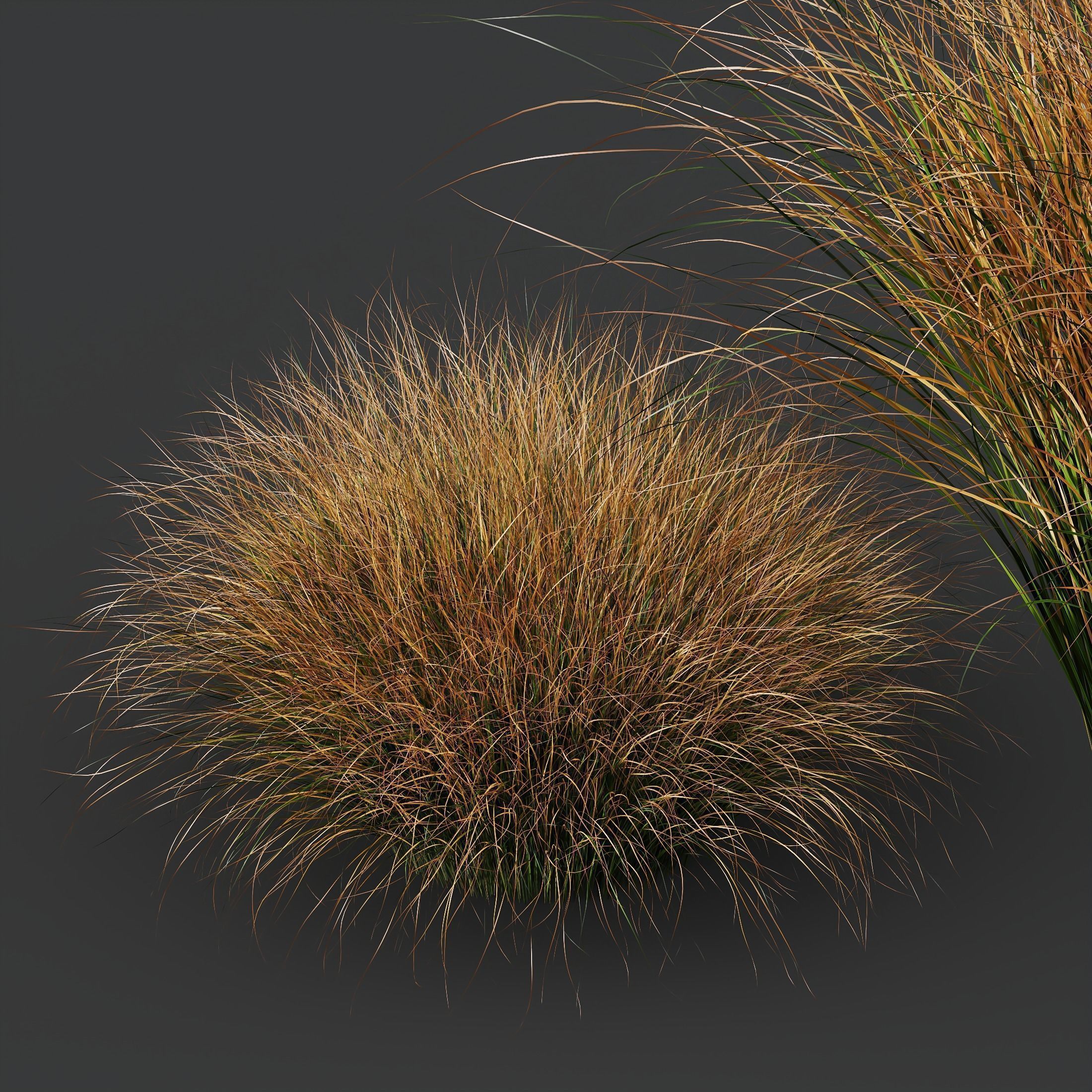 80 Different SETS Of Grass and Bush SET VOL08 3D Model Collection_260