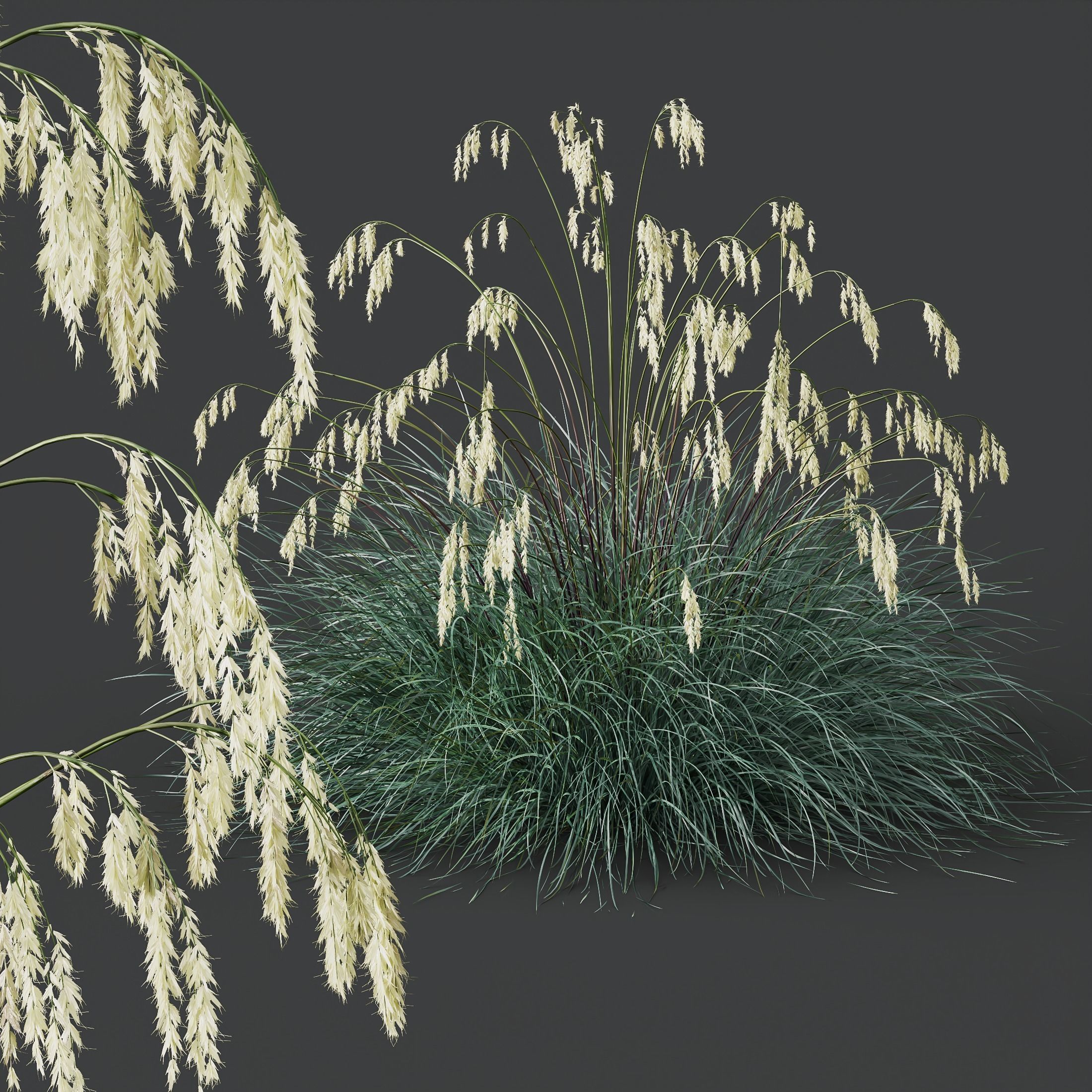 80 Different SETS Of Grass and Bush SET VOL08 3D Model Collection_233