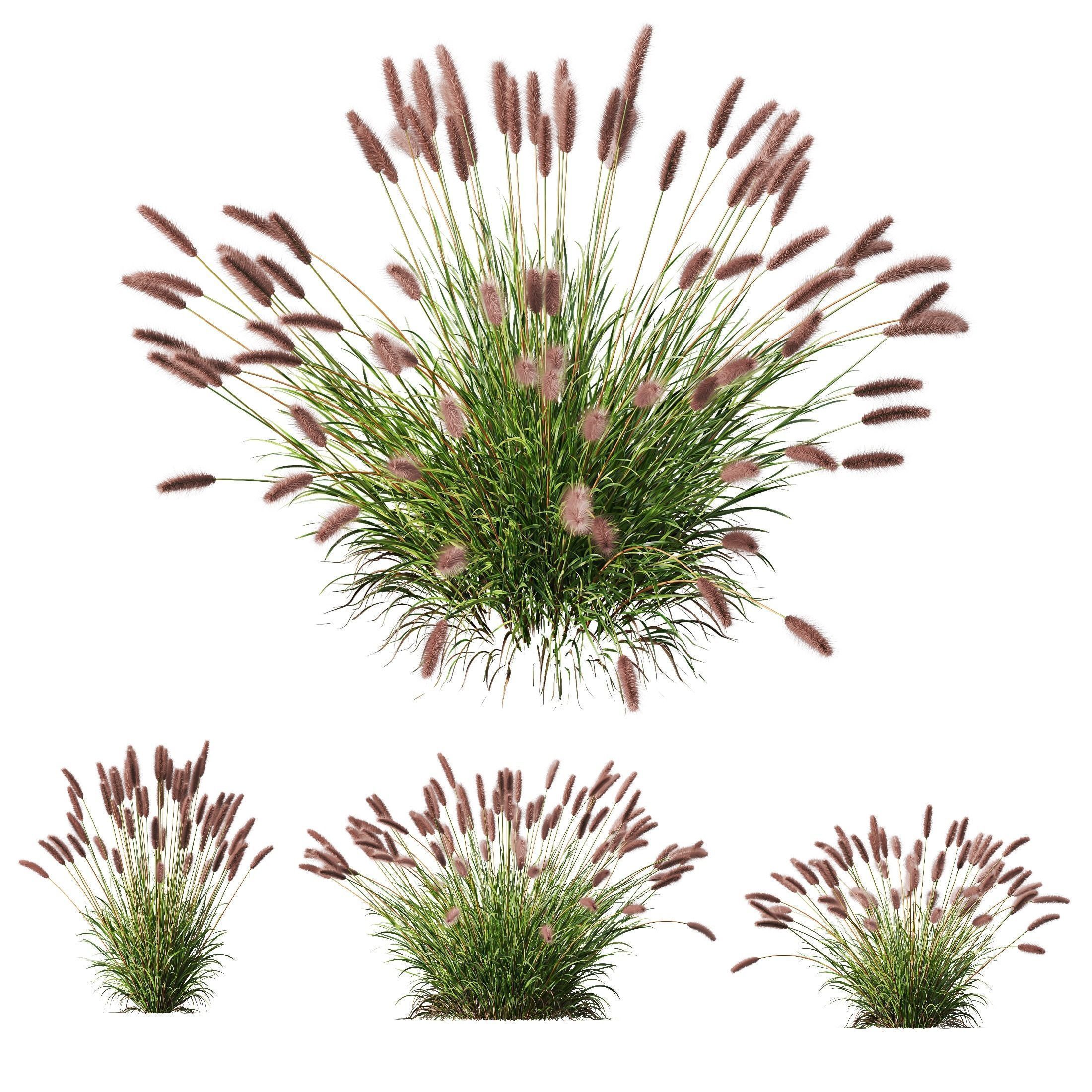 80 Different SETS Of Grass and Bush SET VOL08 3D Model Collection_6