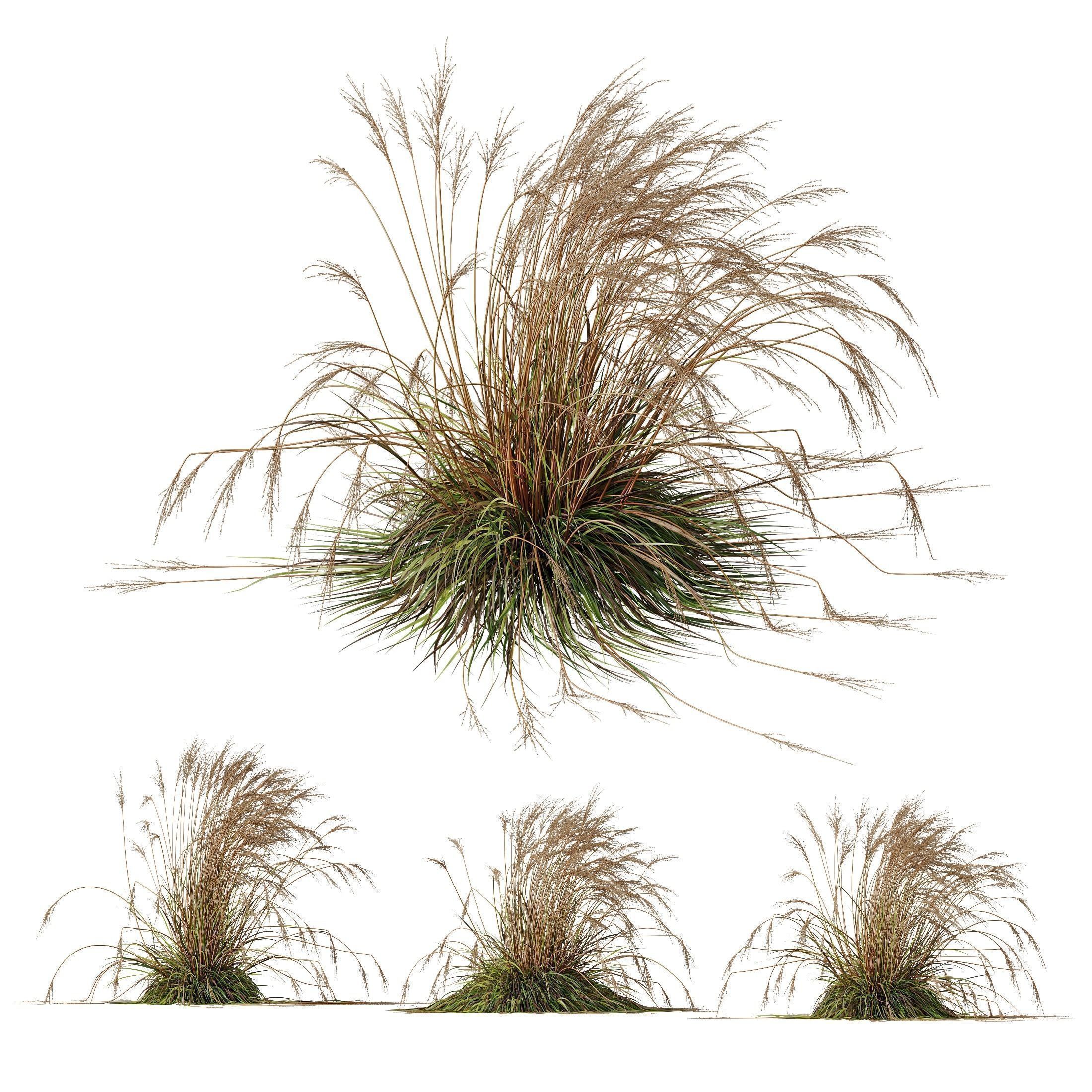 80 Different SETS Of Grass and Bush SET VOL08 3D Model Collection_127