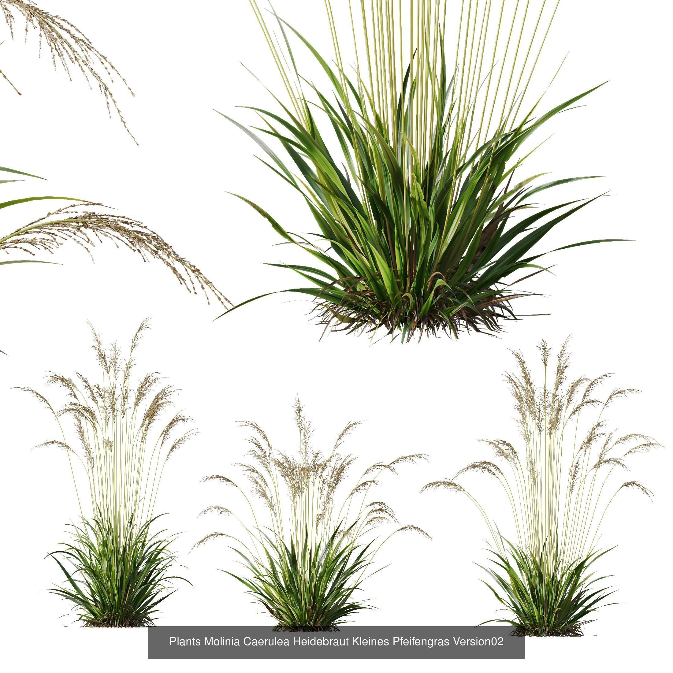 80 Different SETS Of Grass and Bush SET VOL08 3D Model Collection_116