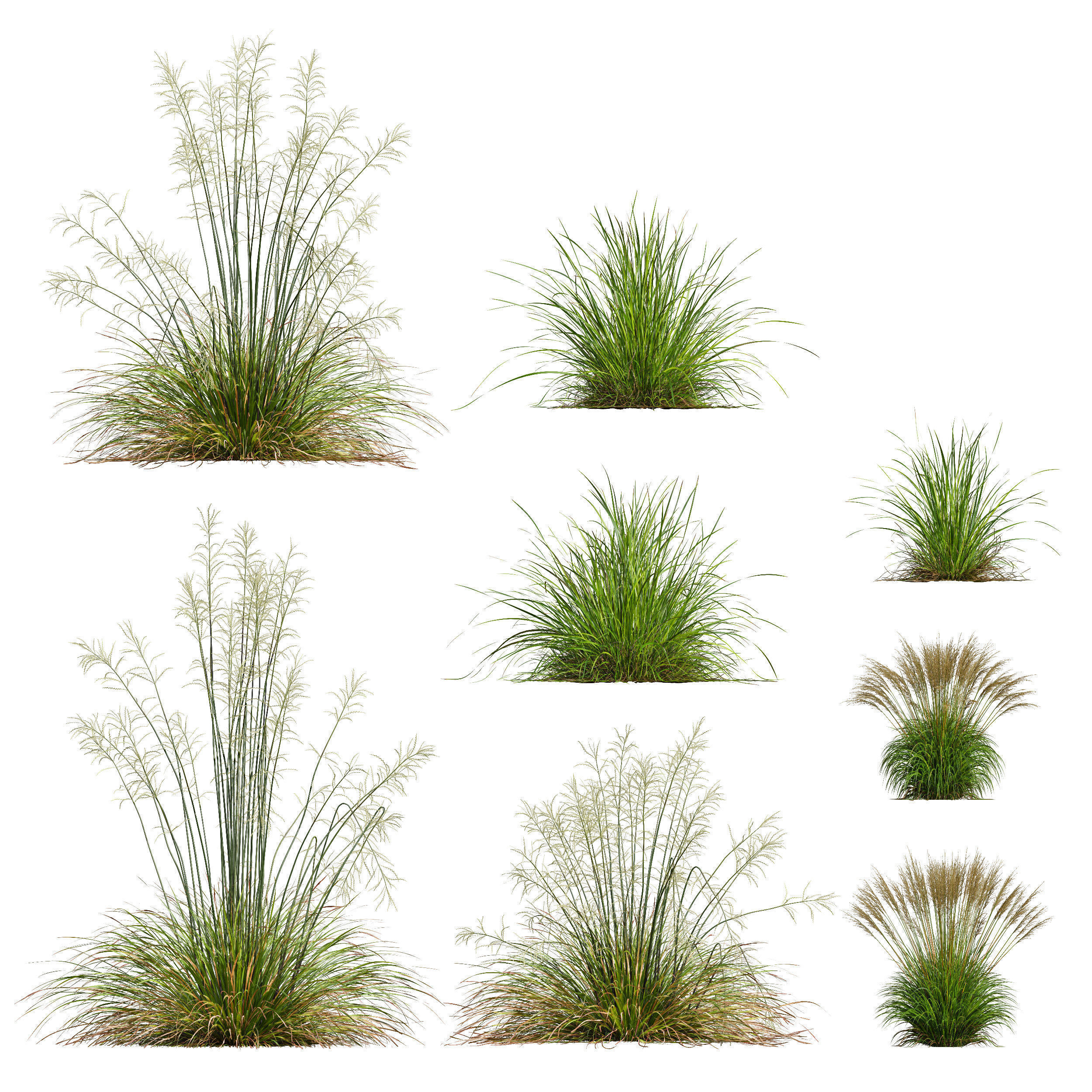 80 Different SETS Of Grass and Bush SET VOL08 3D Model Collection_61