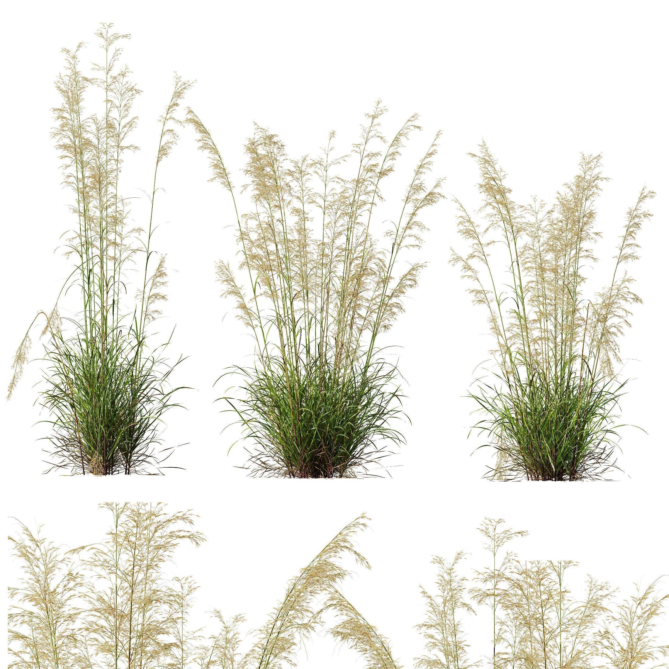 80 Different SETS Of Grass and Bush SET VOL08 3D Model Collection_41