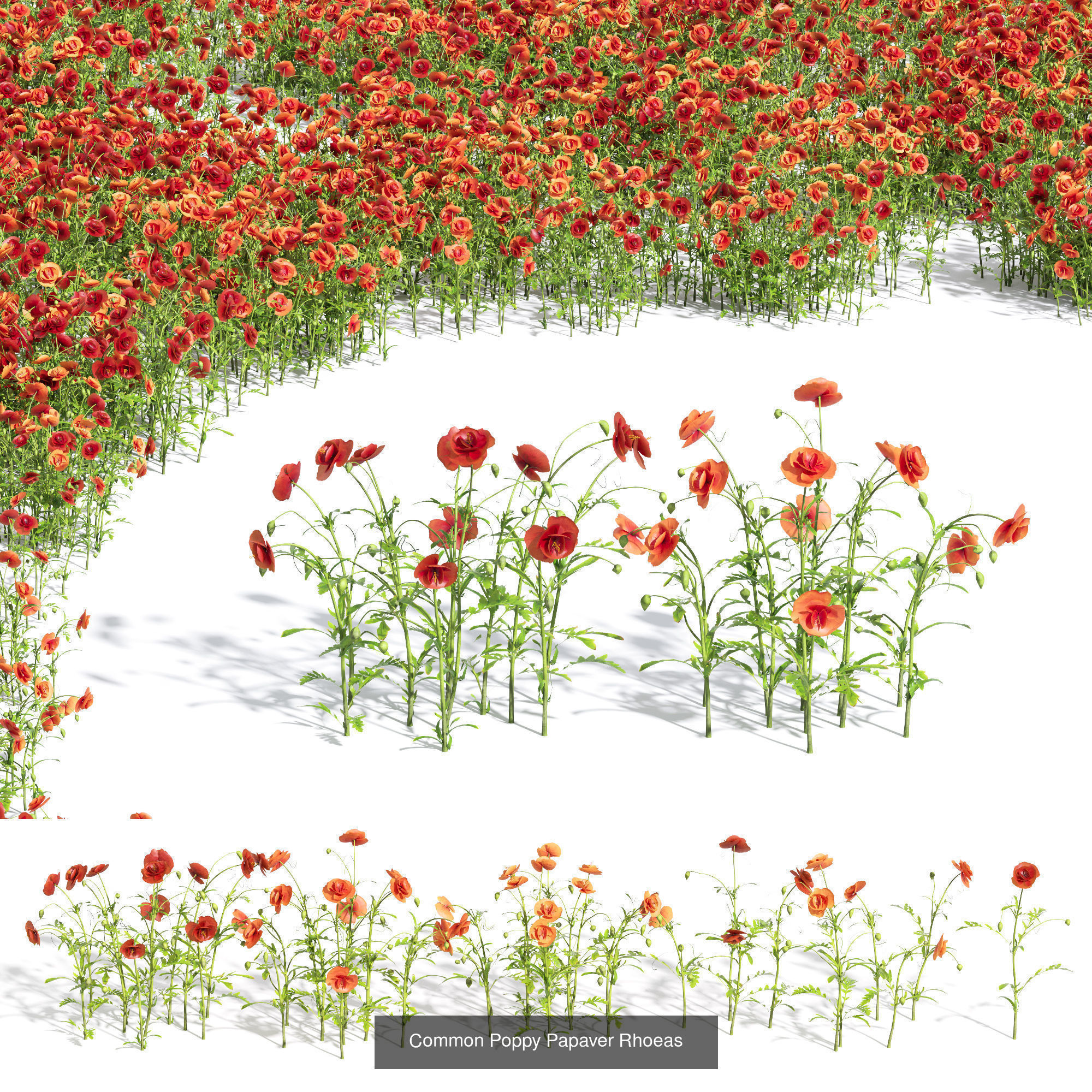 80 Different SETS Of Grass and Bush SET VOL08 3D Model Collection_10