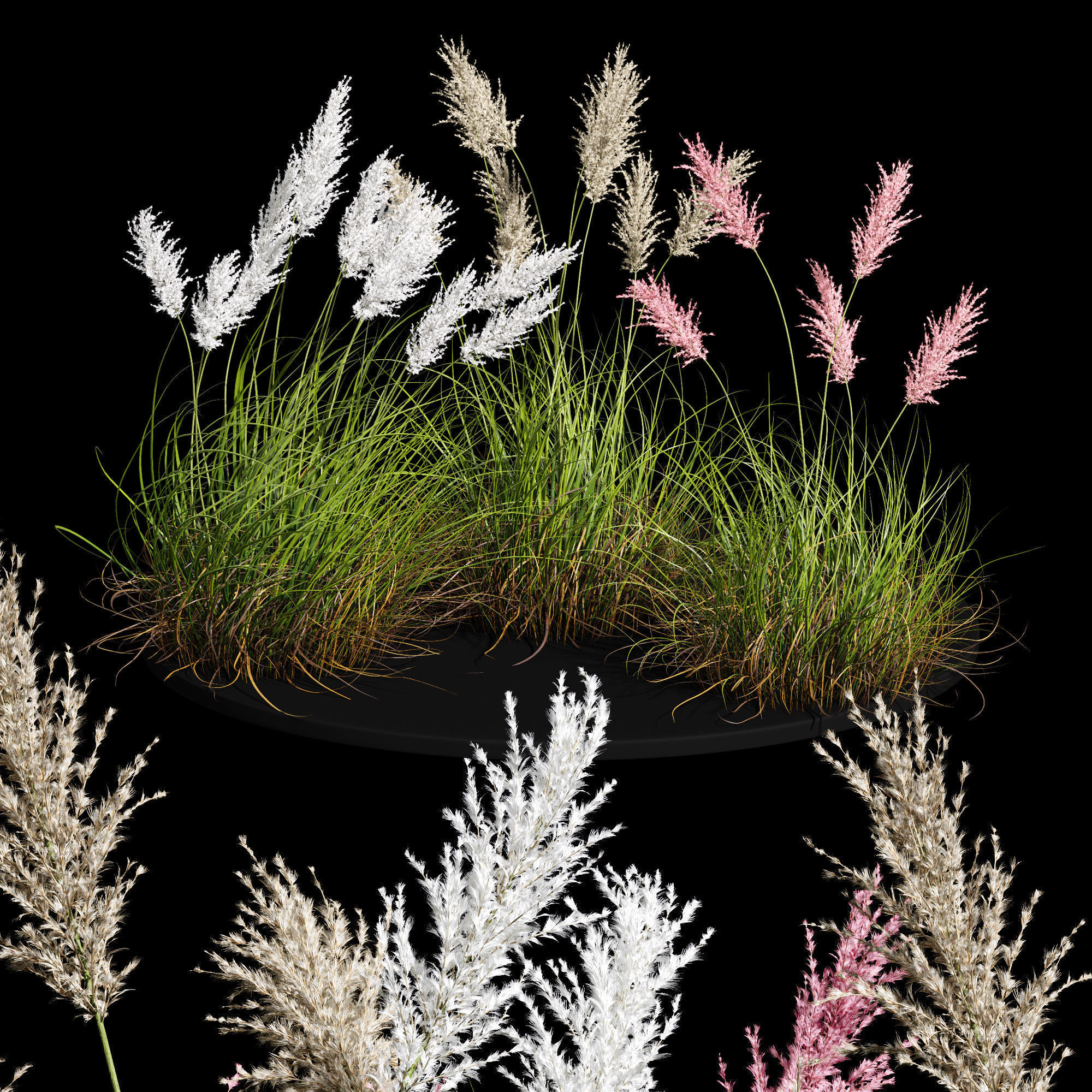 80 Different SETS Of Grass and Bush SET VOL08 3D Model Collection_190