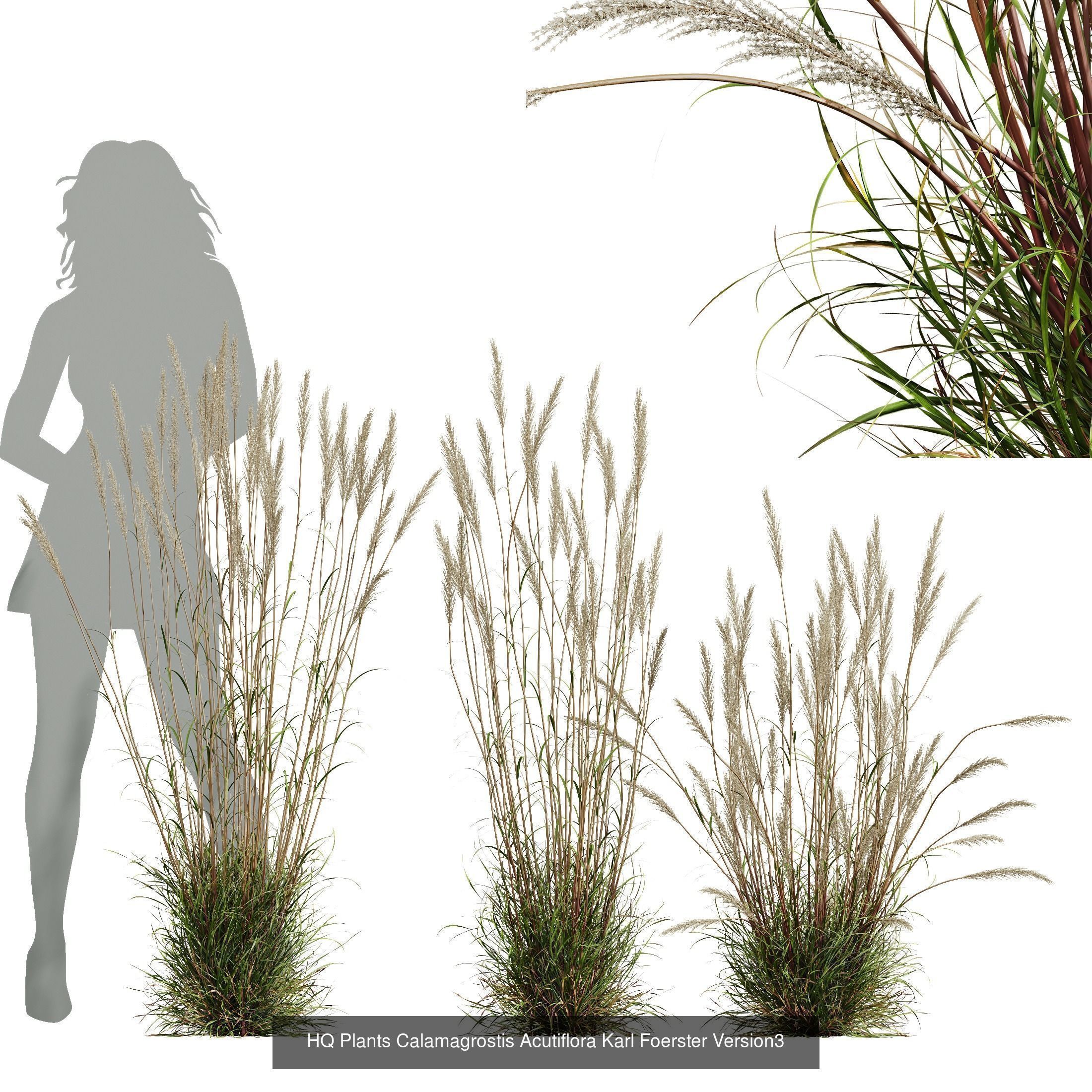 80 Different SETS Of Grass and Bush SET VOL08 3D Model Collection_42