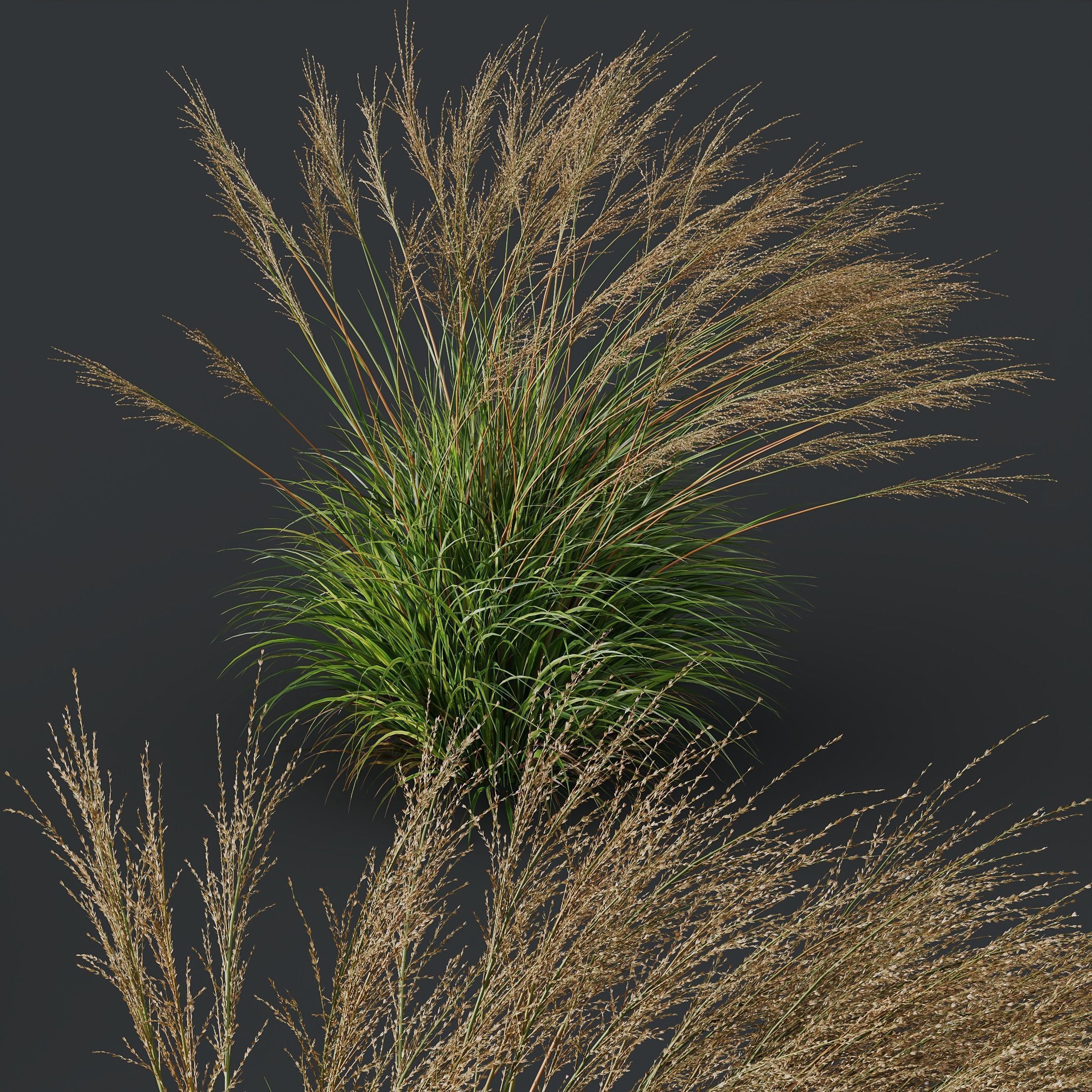 80 Different SETS Of Grass and Bush SET VOL08 3D Model Collection_202