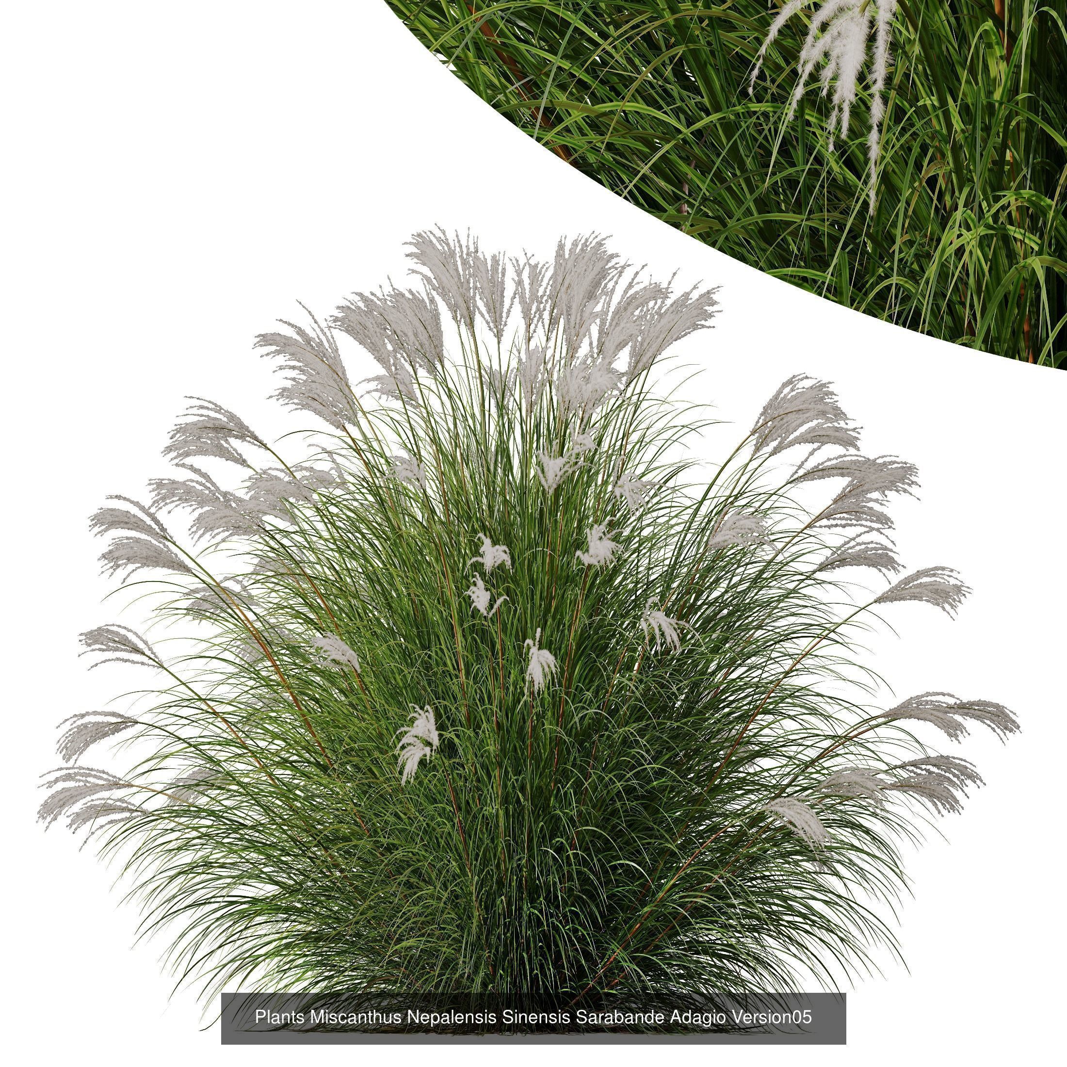 80 Different SETS Of Grass and Bush SET VOL08 3D Model Collection_110