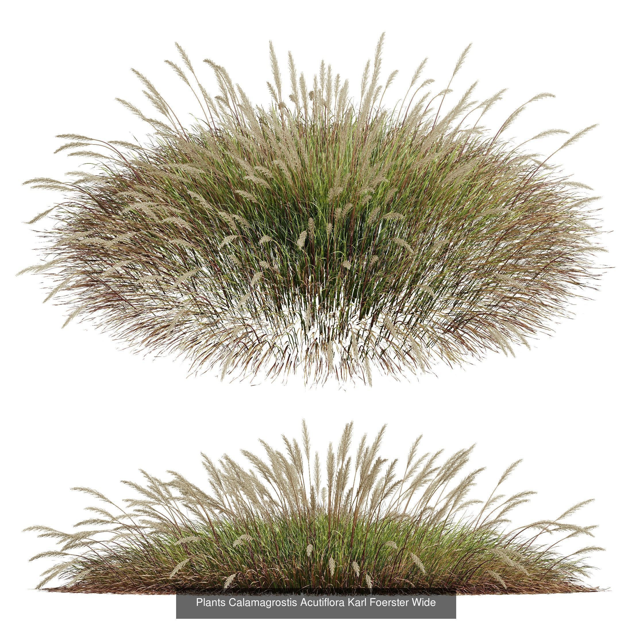 80 Different SETS Of Grass and Bush SET VOL08 3D Model Collection_48