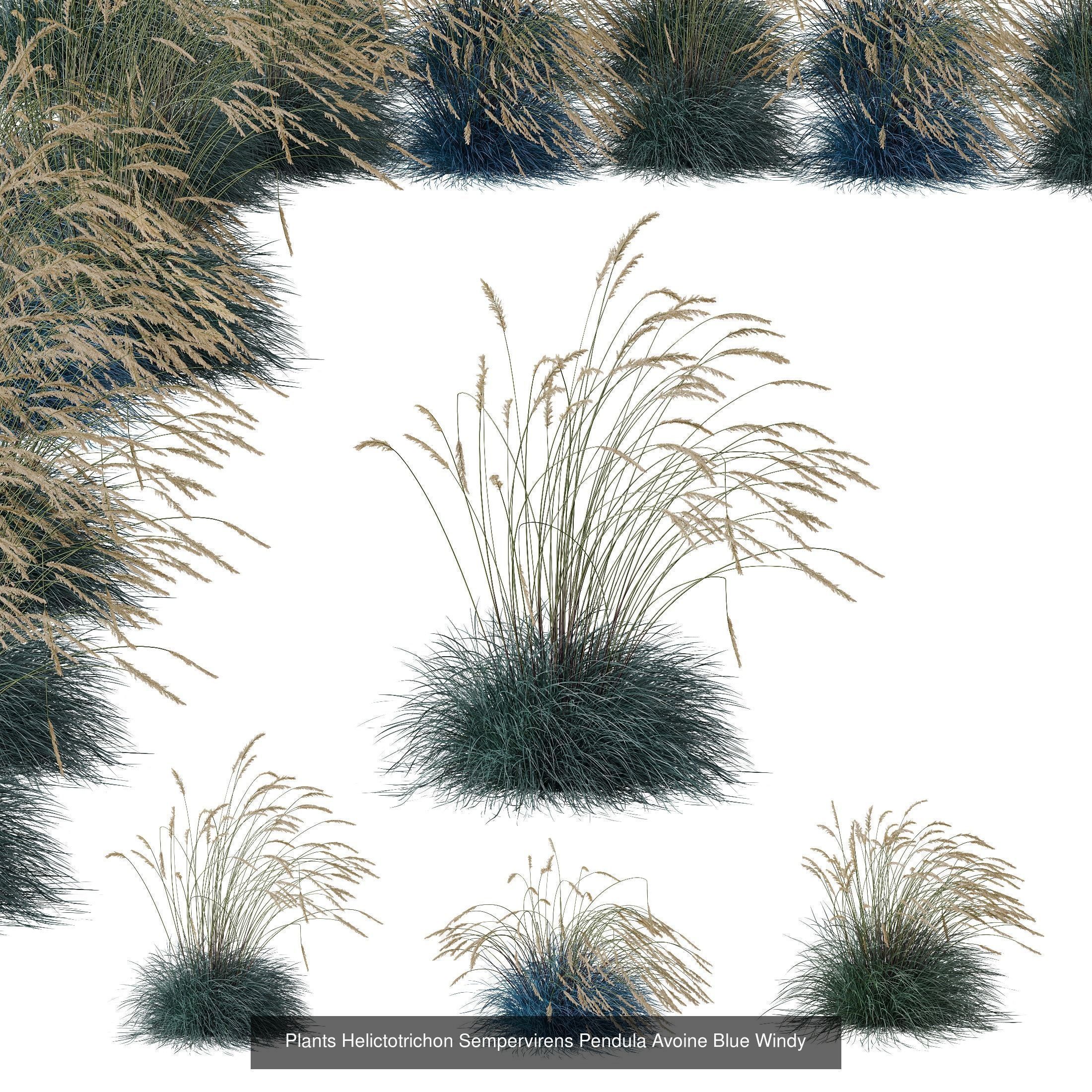 80 Different SETS Of Grass and Bush SET VOL08 3D Model Collection_84