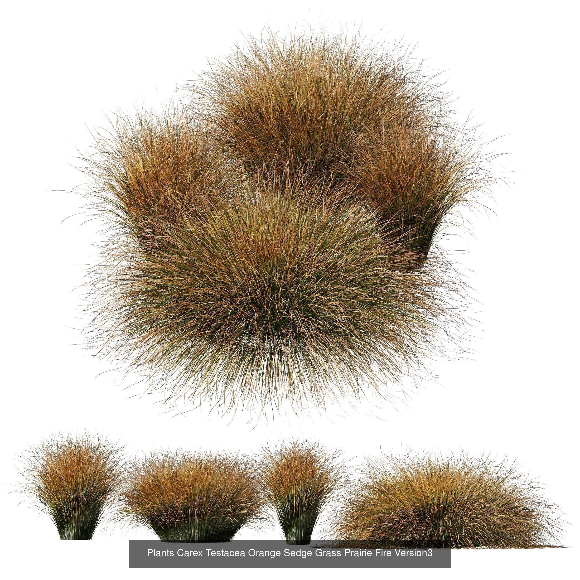 80 Different SETS Of Grass and Bush SET VOL08 3D Model Collection_56