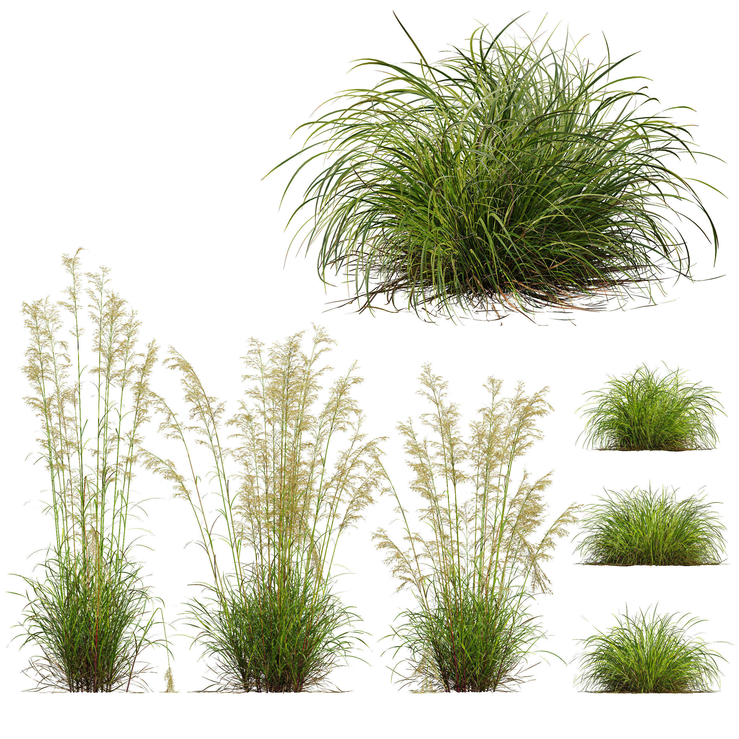 80 Different SETS Of Grass and Bush SET VOL08 3D Model Collection_103
