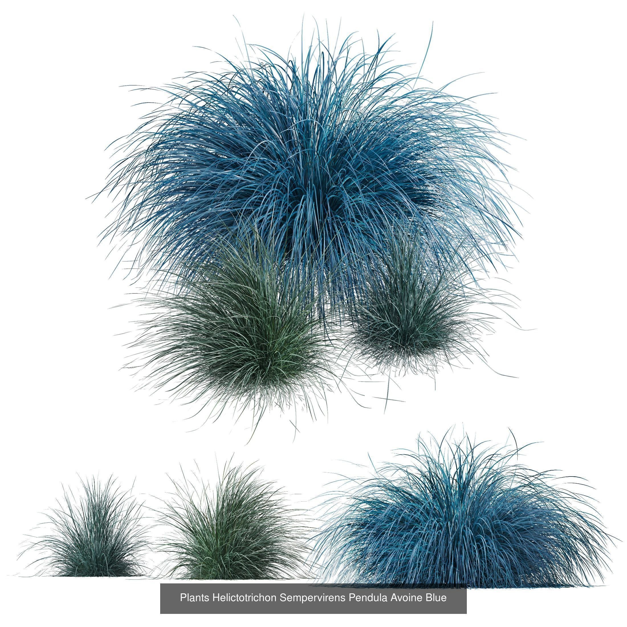 80 Different SETS Of Grass and Bush SET VOL08 3D Model Collection_74