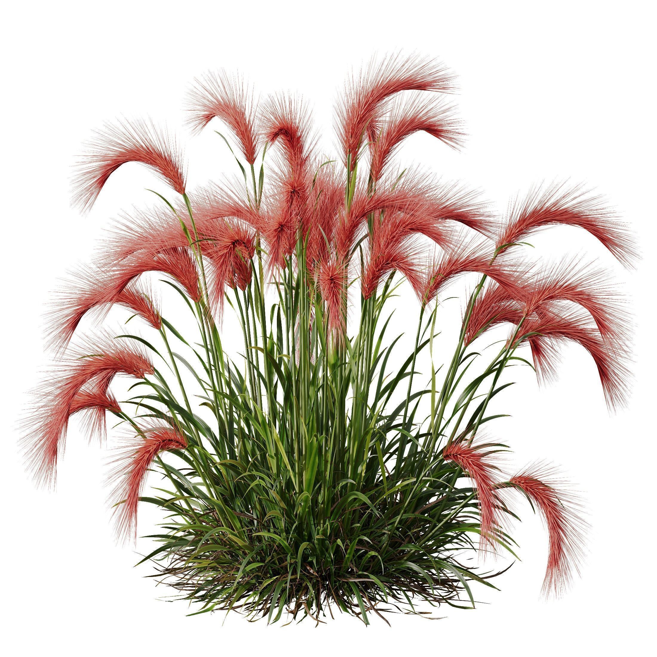 80 Different SETS Of Grass and Bush SET VOL08 3D Model Collection_245