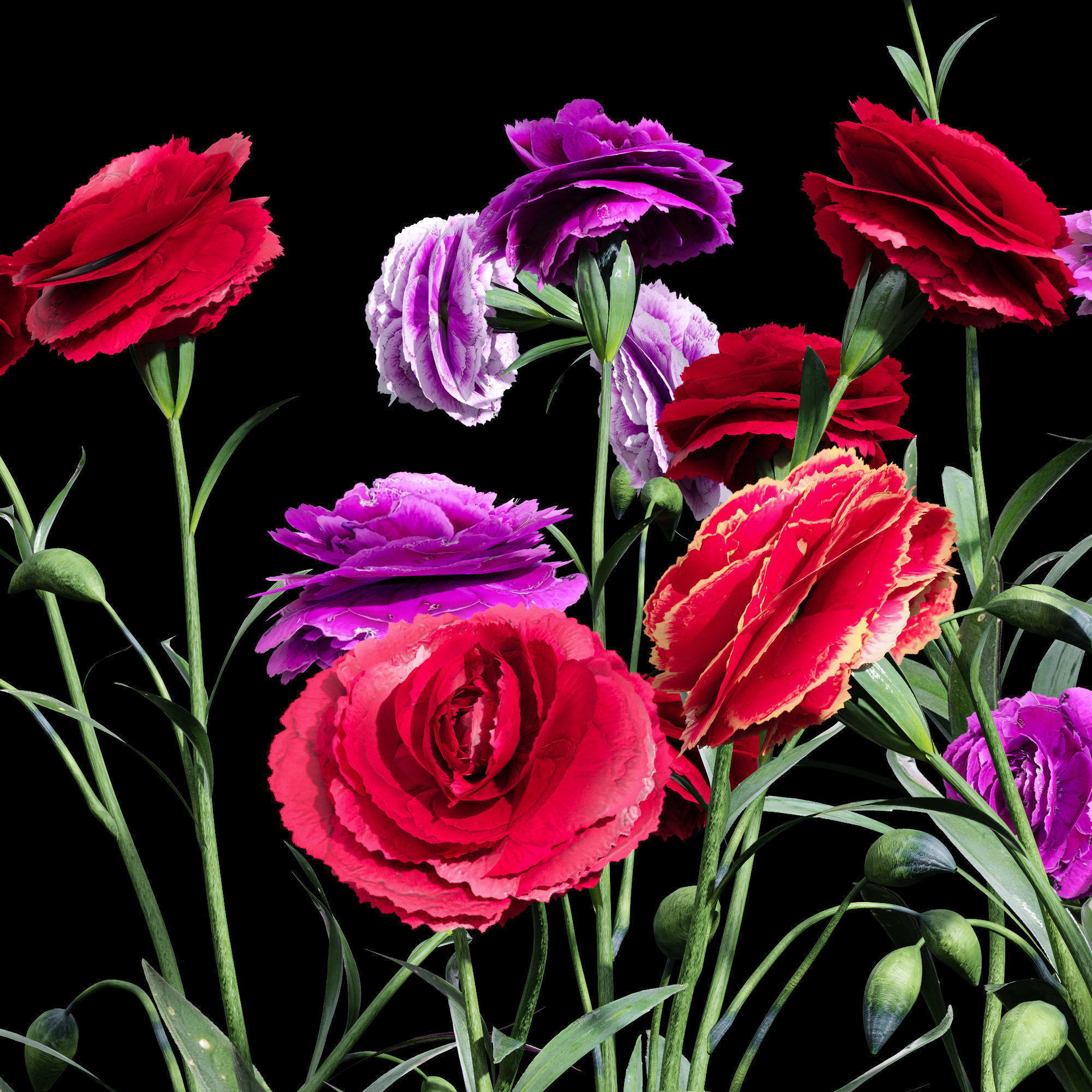 80 Different SETS Of Grass and Bush SET VOL08 3D Model Collection_175