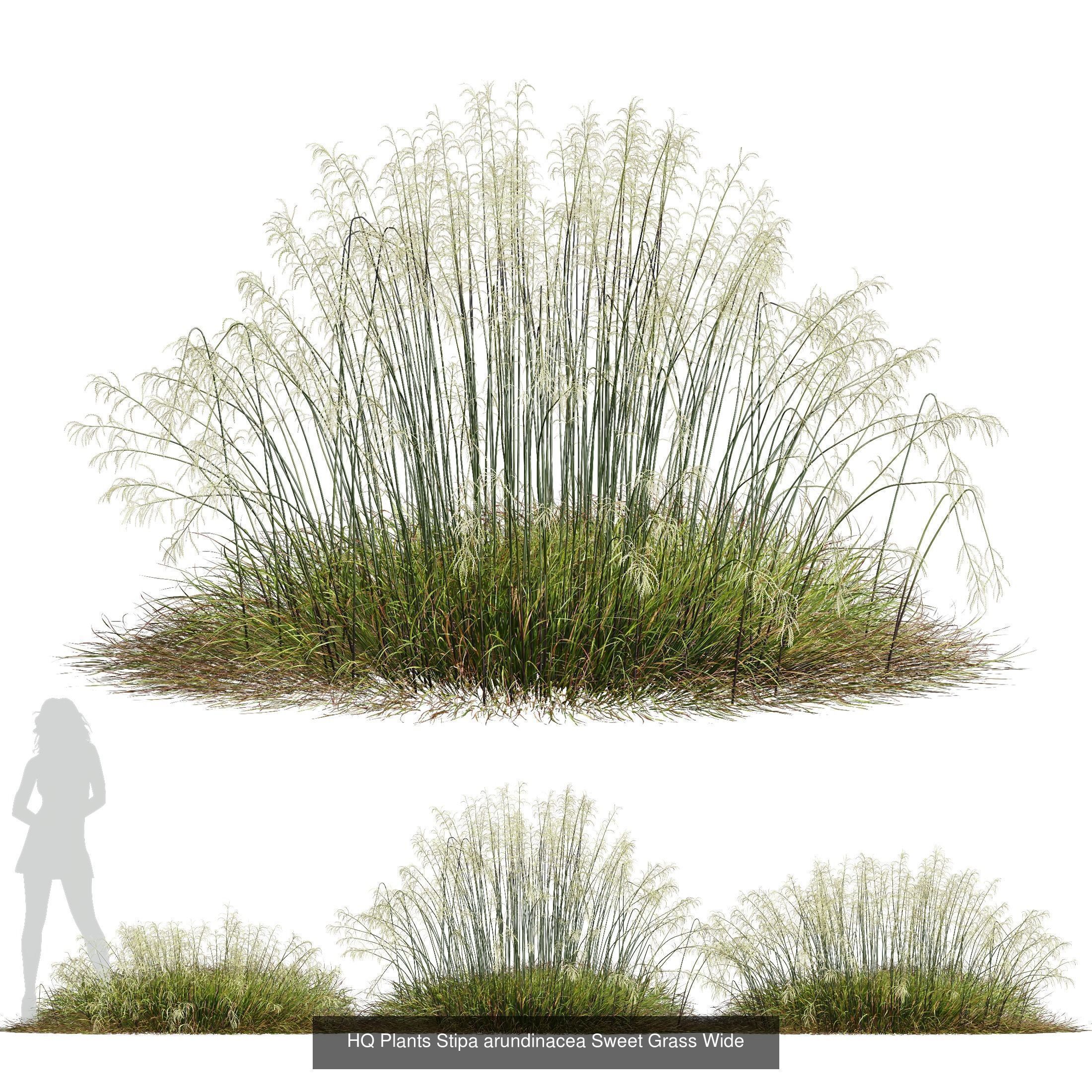 80 Different SETS Of Grass and Bush SET VOL08 3D Model Collection_36