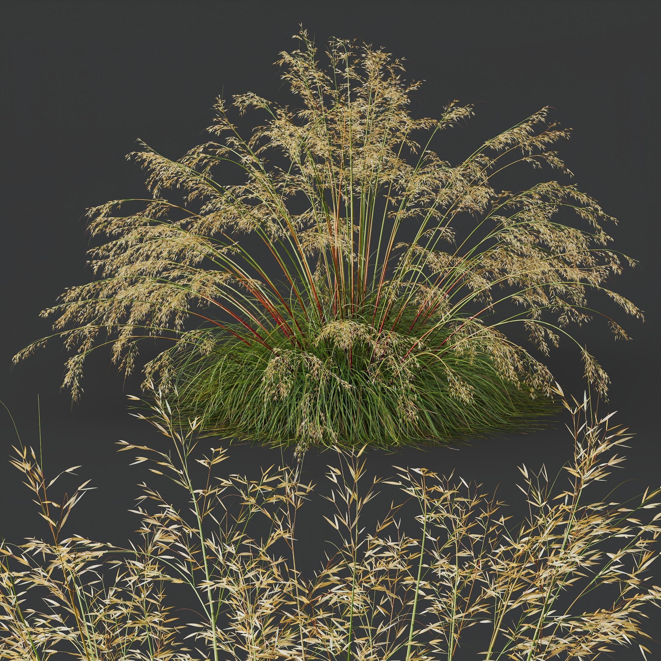 80 Different SETS Of Grass and Bush SET VOL08 3D Model Collection_240