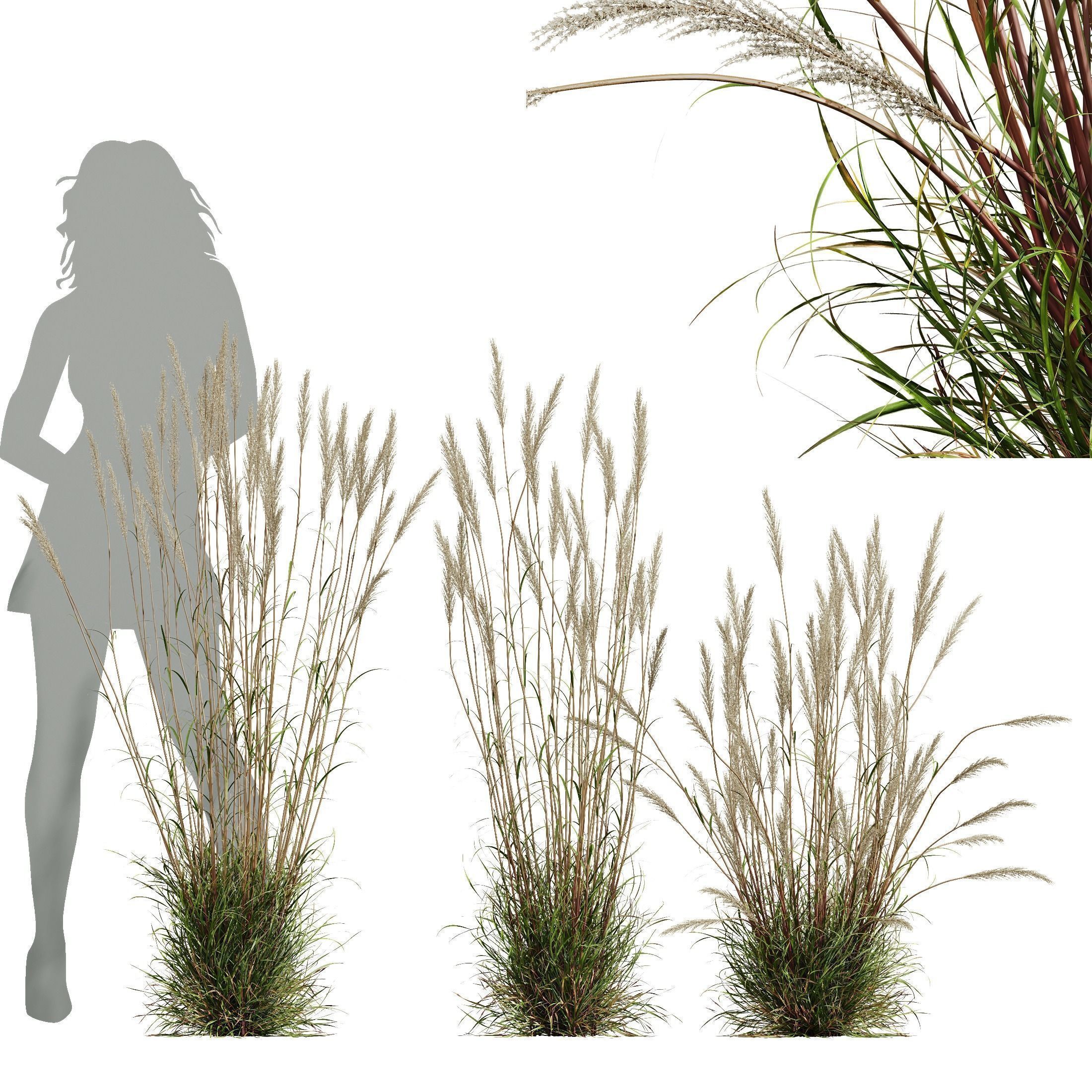 80 Different SETS Of Grass and Bush SET VOL08 3D Model Collection_19