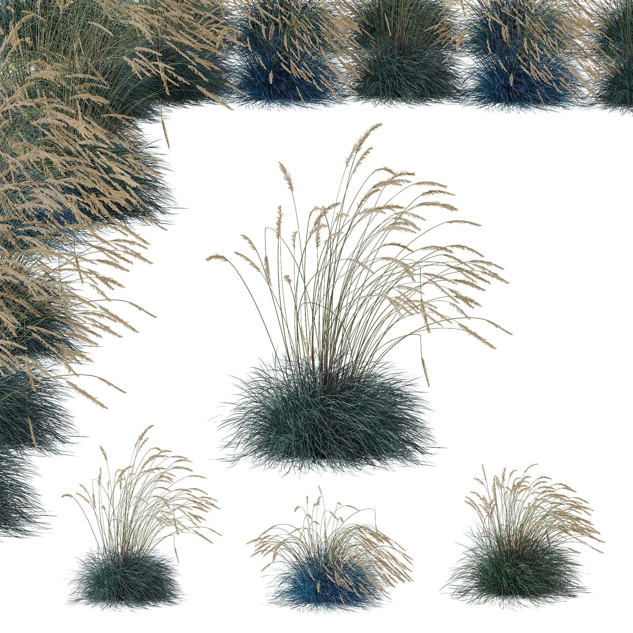 80 Different SETS Of Grass and Bush SET VOL08 3D Model Collection_125