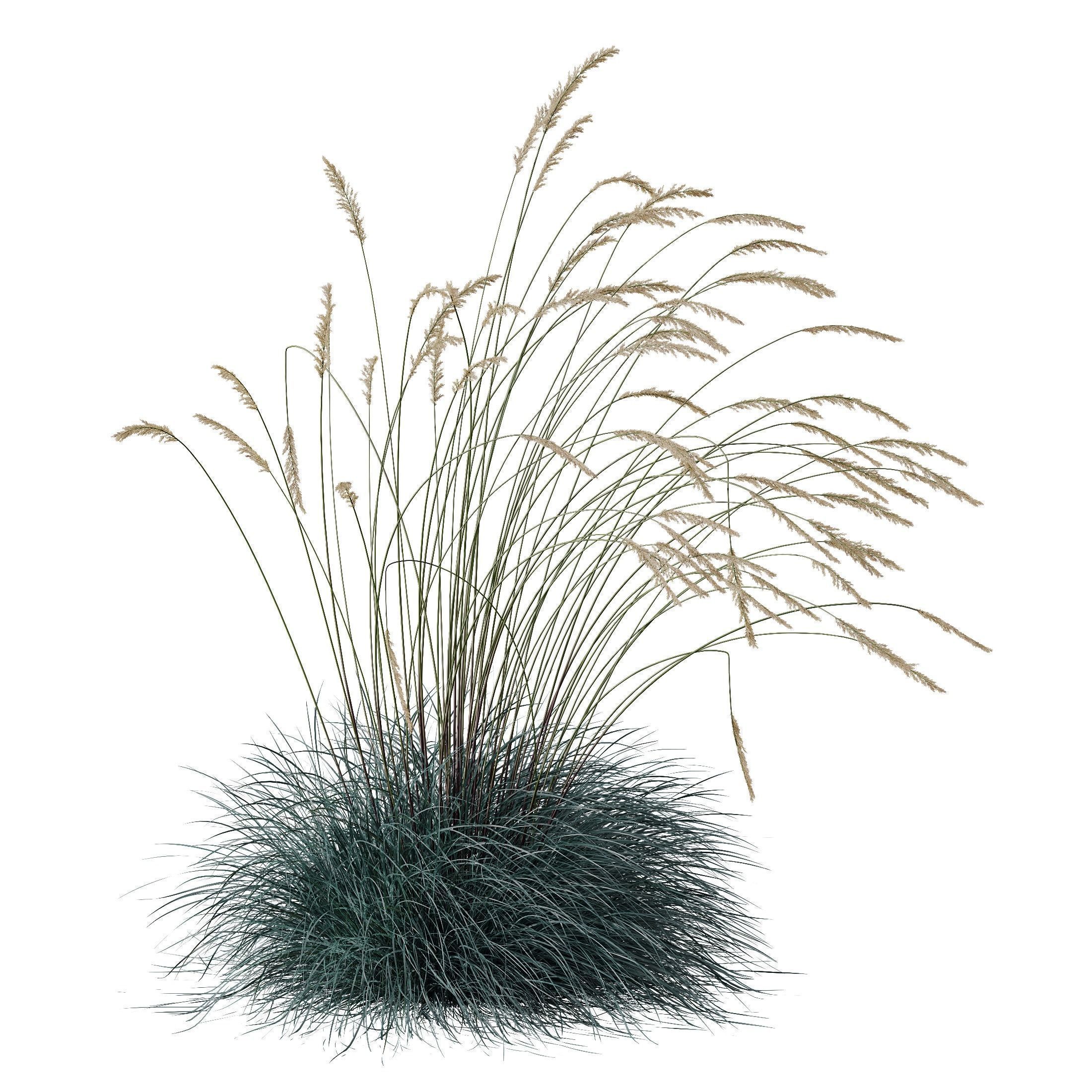 80 Different SETS Of Grass and Bush SET VOL08 3D Model Collection_230